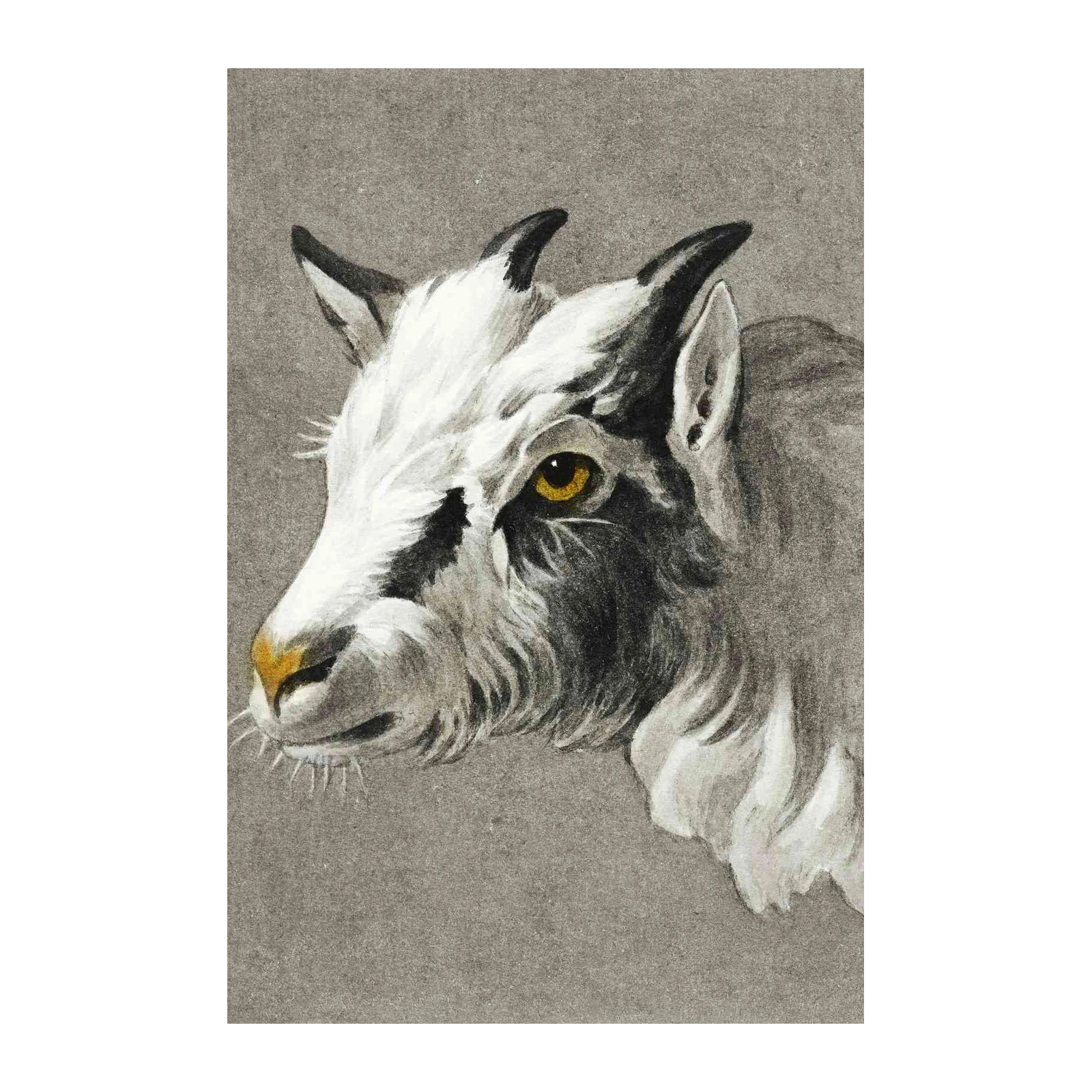 Majestic Goat Portrait Wall Art