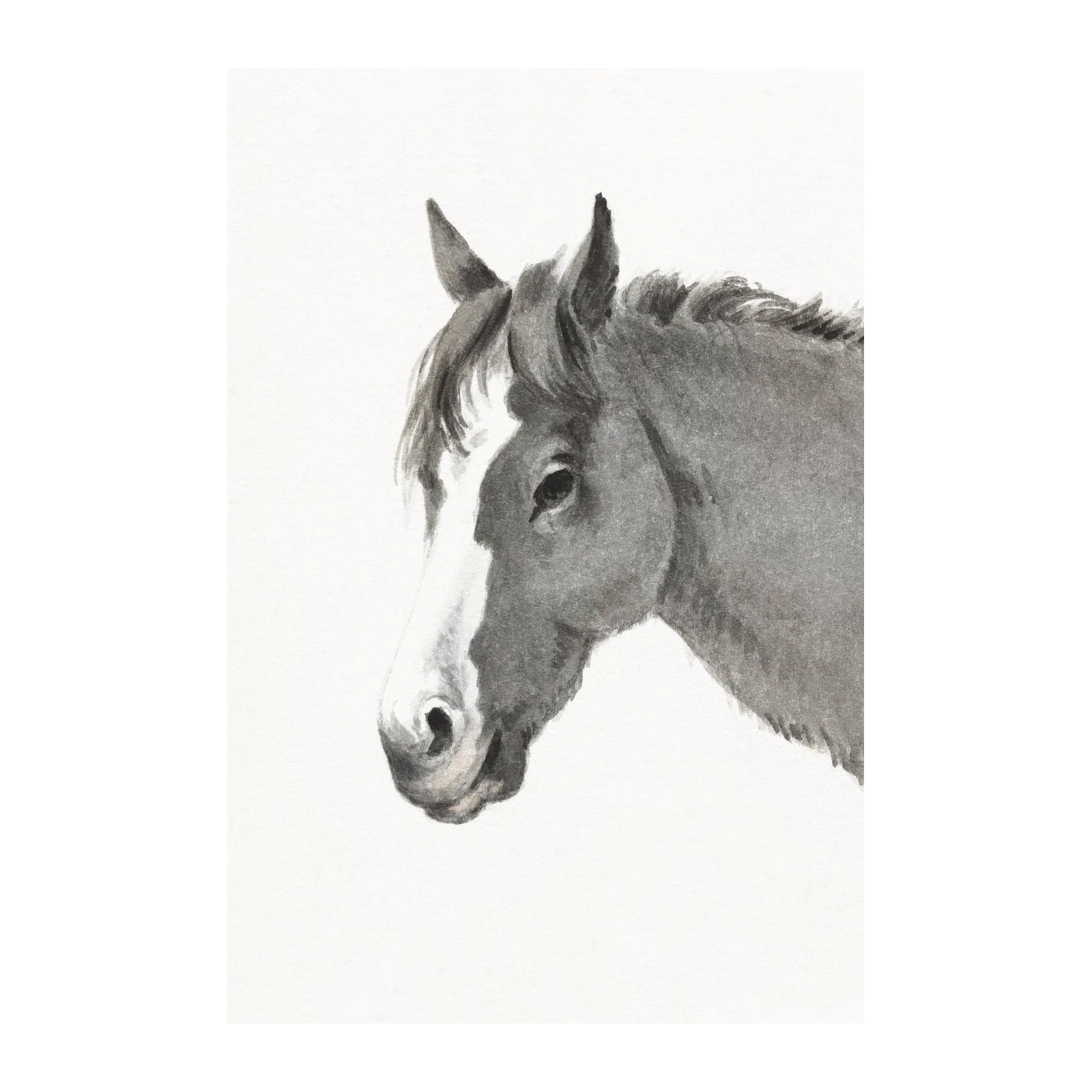 Elegant Horse Portrait Watercolor Wall Art