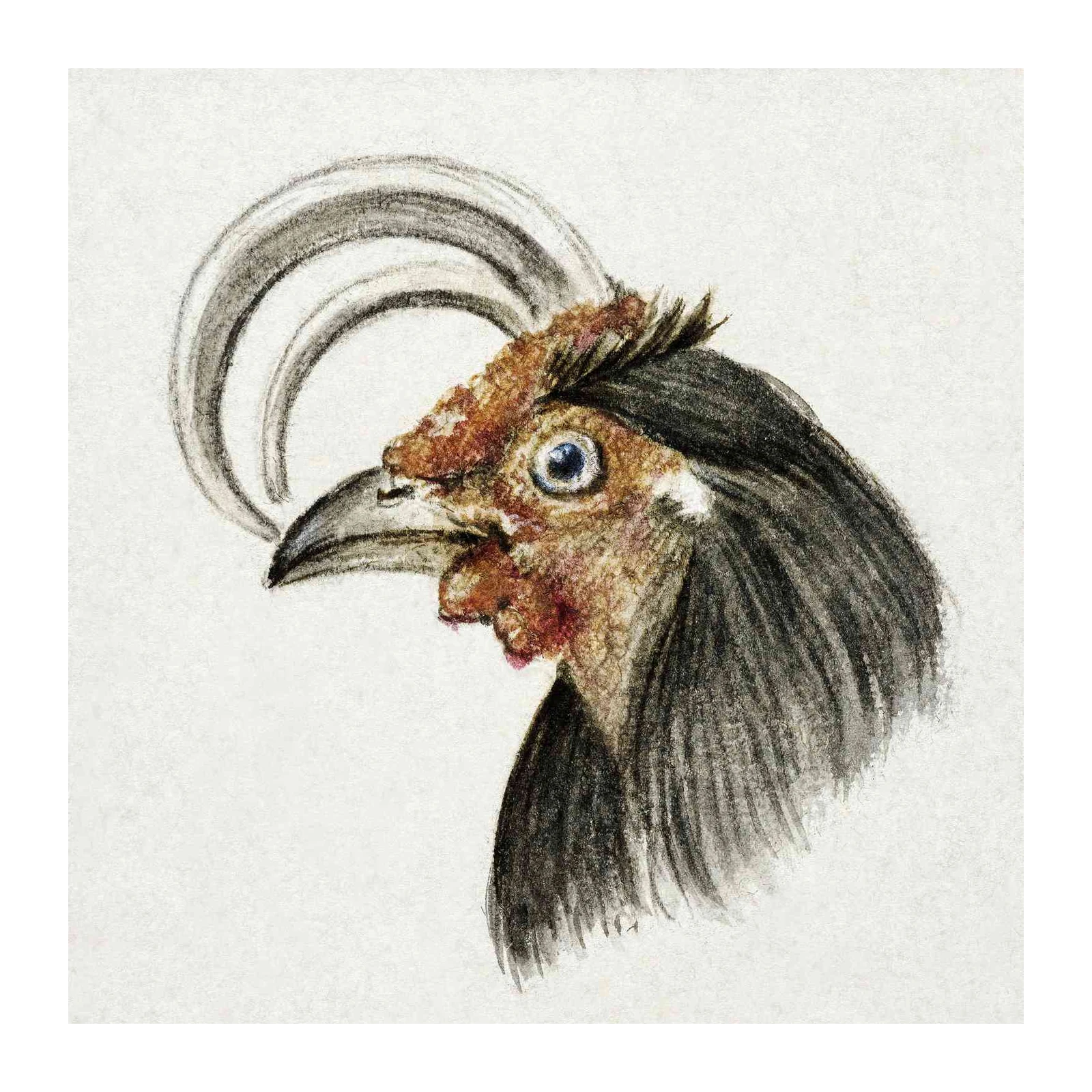 Elegant Rooster Portrait Vintage Art Wall Art