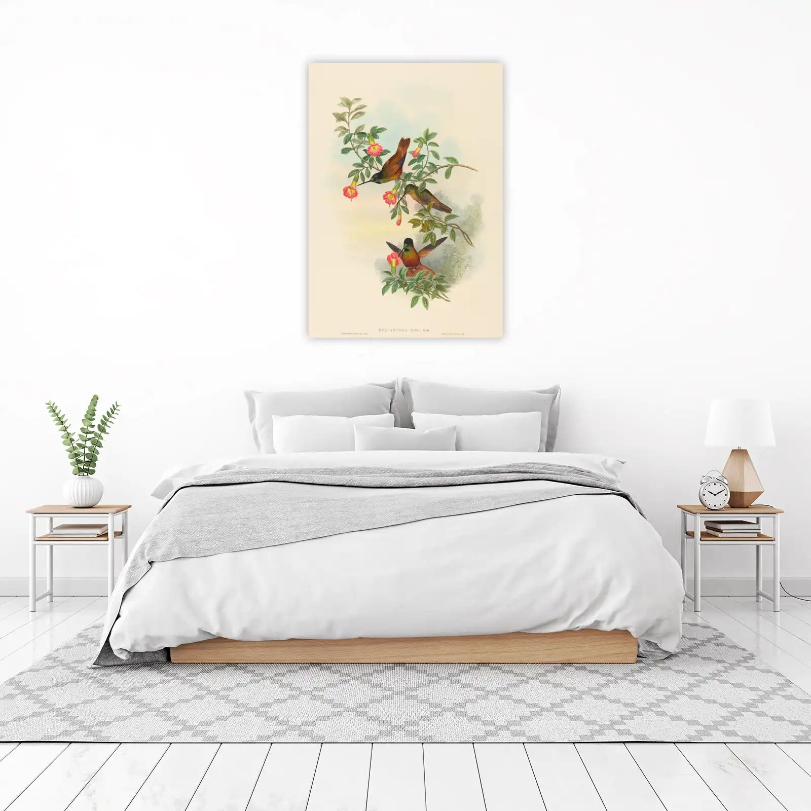 Hummingbird & Floral Vintage Art Wall Art