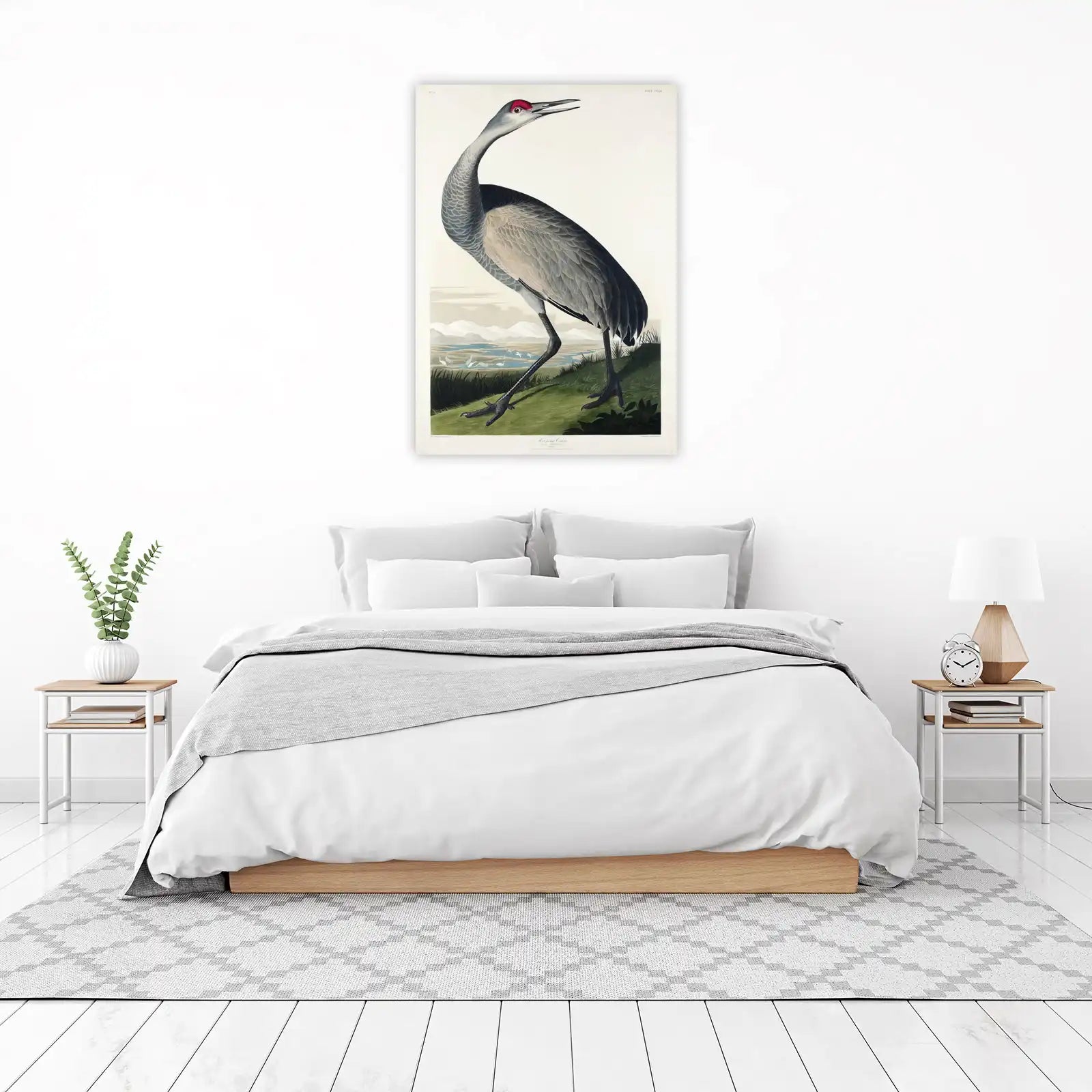 Elegant Sandhill Crane Vintage Bird Art Wall Art