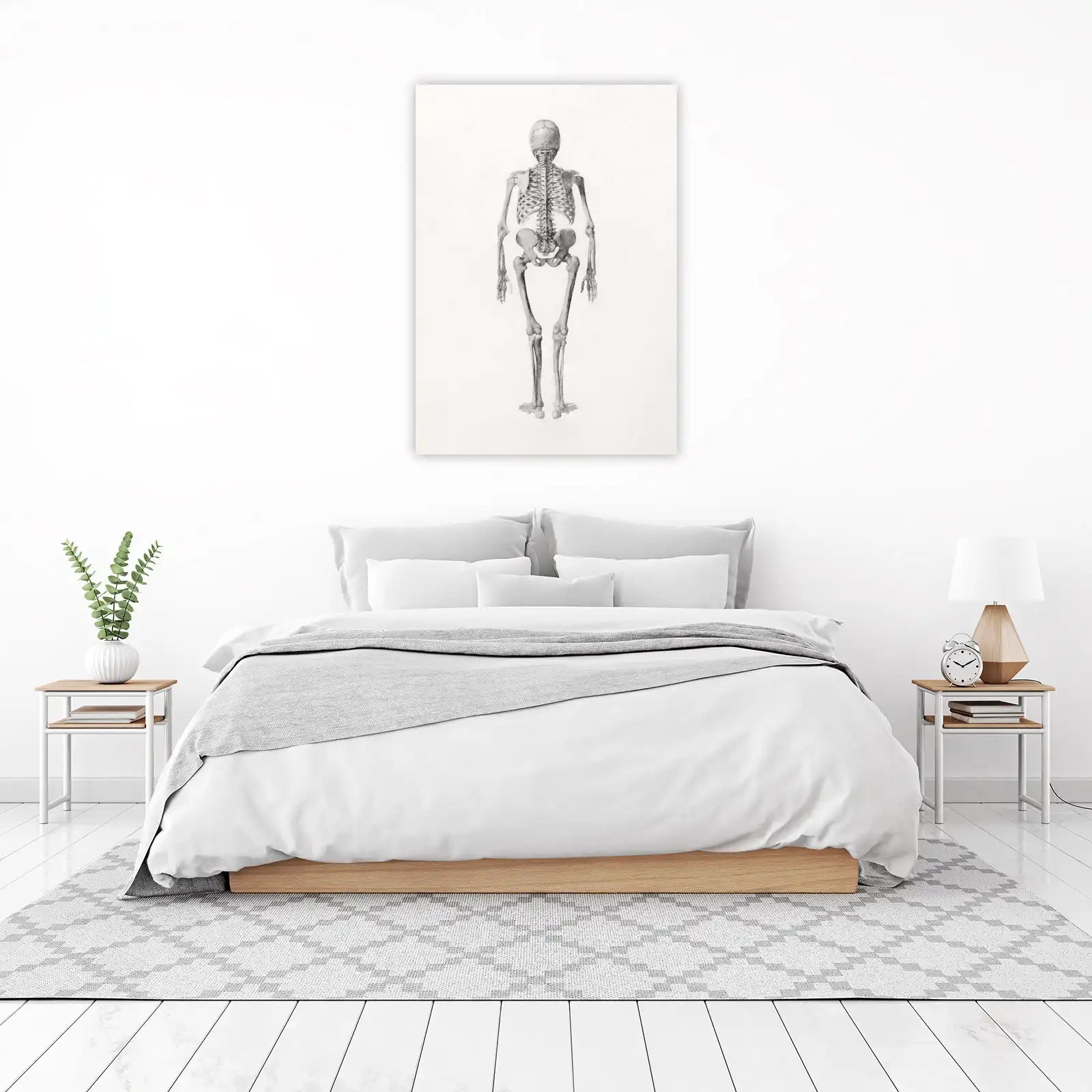 Vintage Skeleton Anatomy Poster - Medical Wall Art
