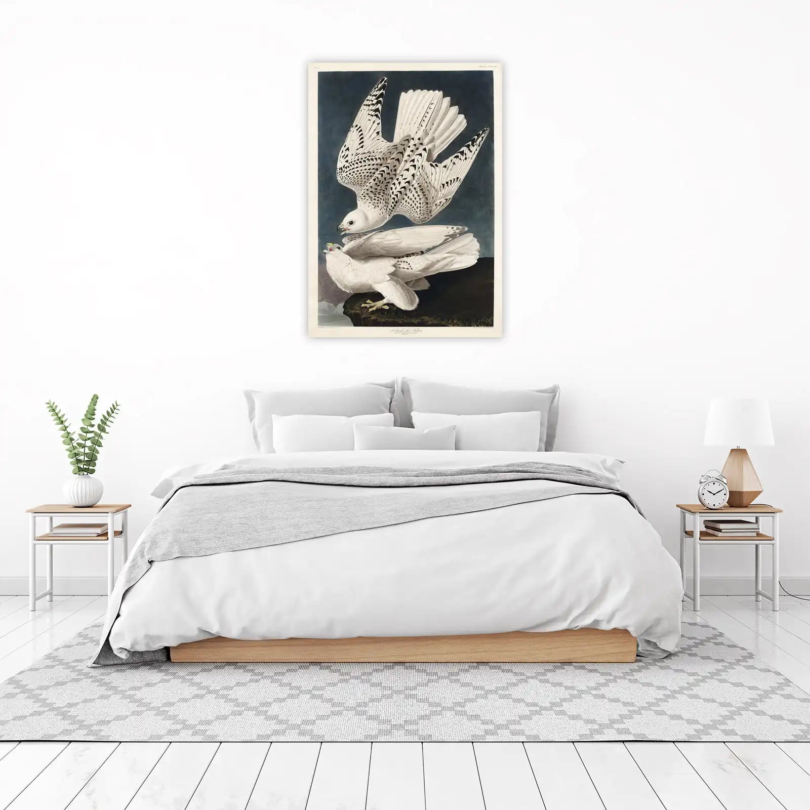Majestic Gyrfalcon Duo Wall Art Wall Art