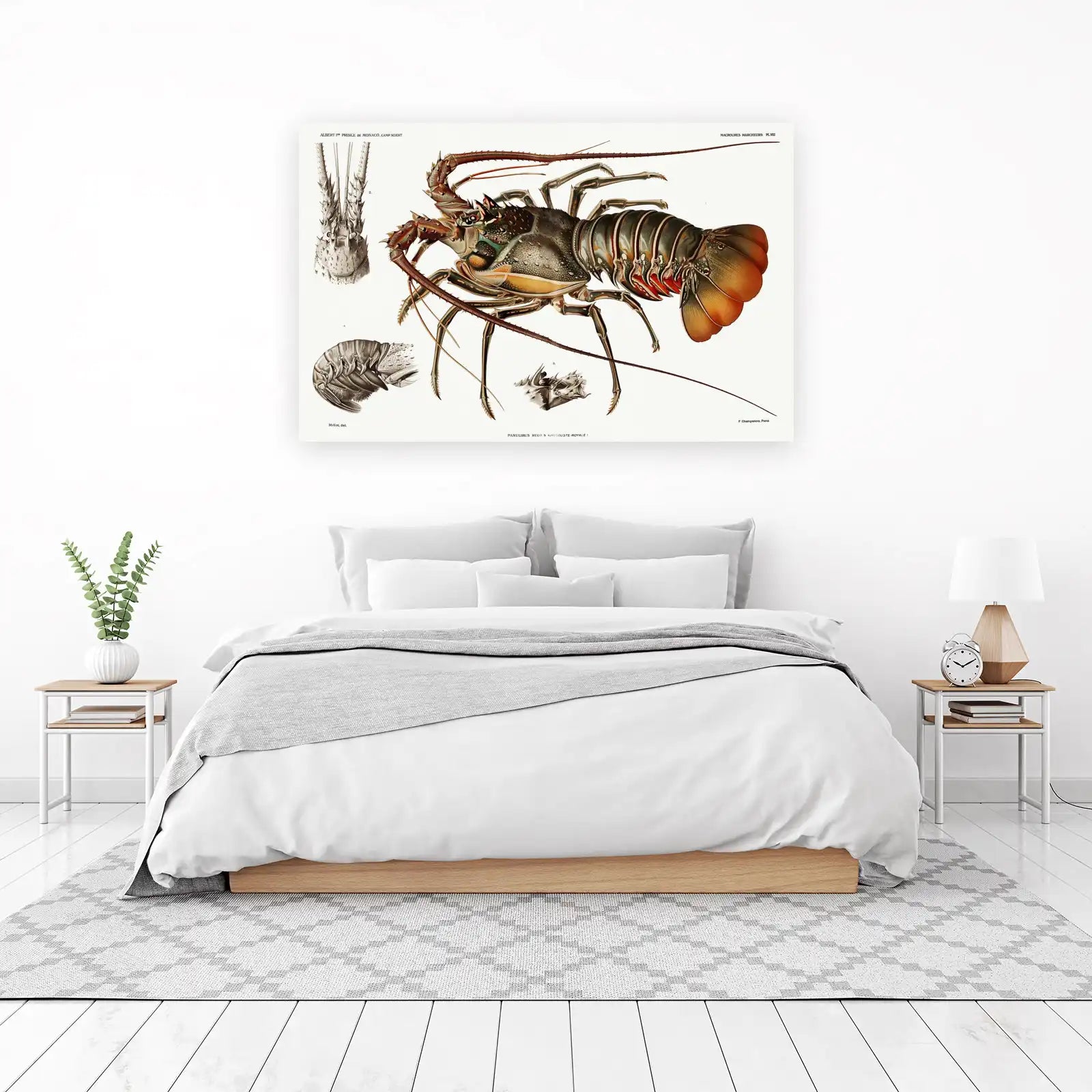 Vintage Lobster Anatomy Poster Wall Art