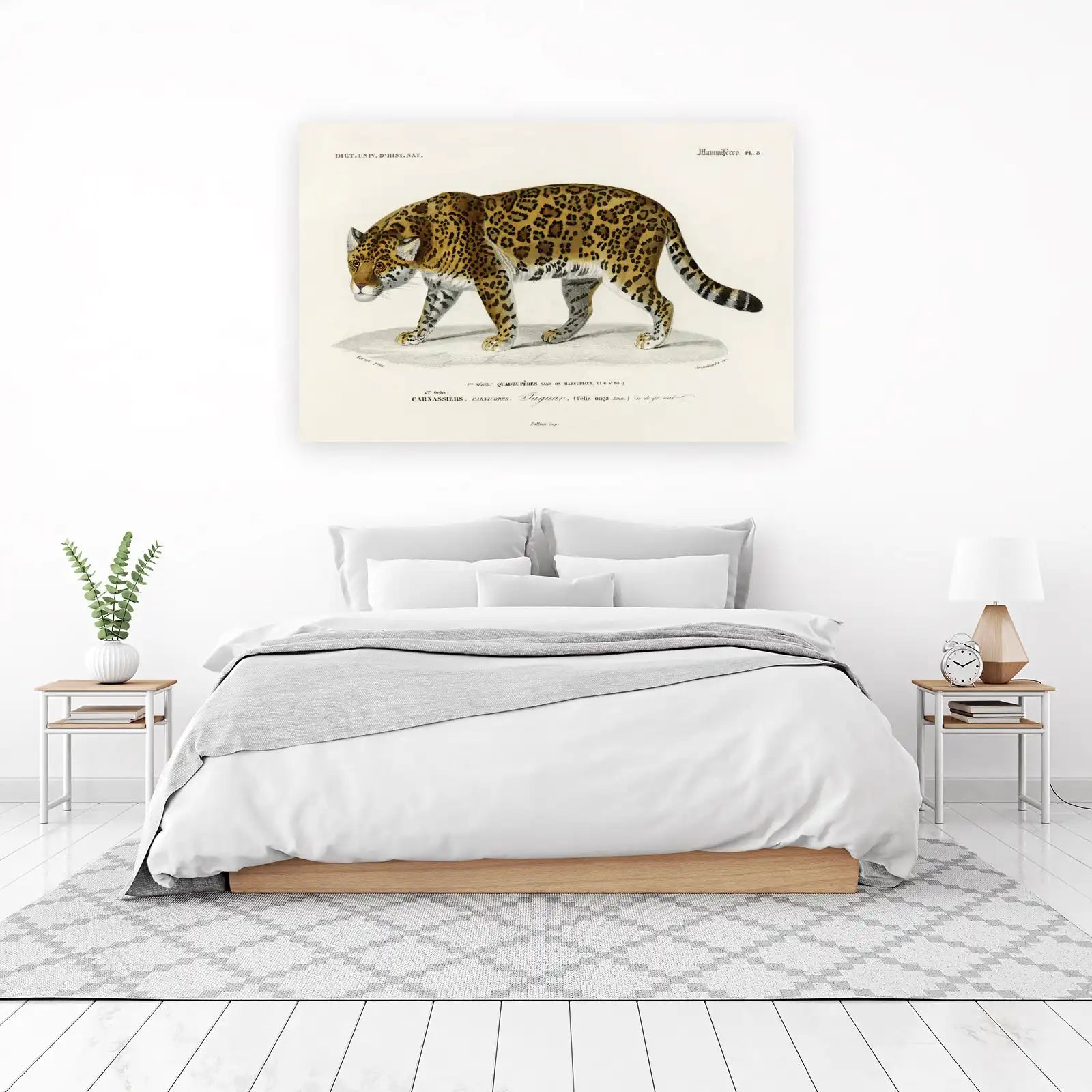 Vintage Jaguar Art Wall Art | Wild Animal Decor