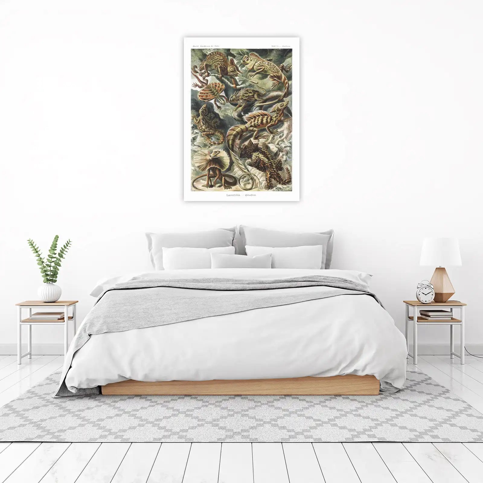 Vintage Lizard Art | Natural History Reptile Wall Art