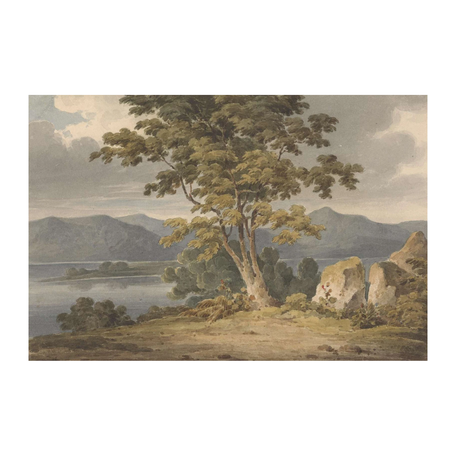 Tranquil Landscape Tree & Lake Wall Art