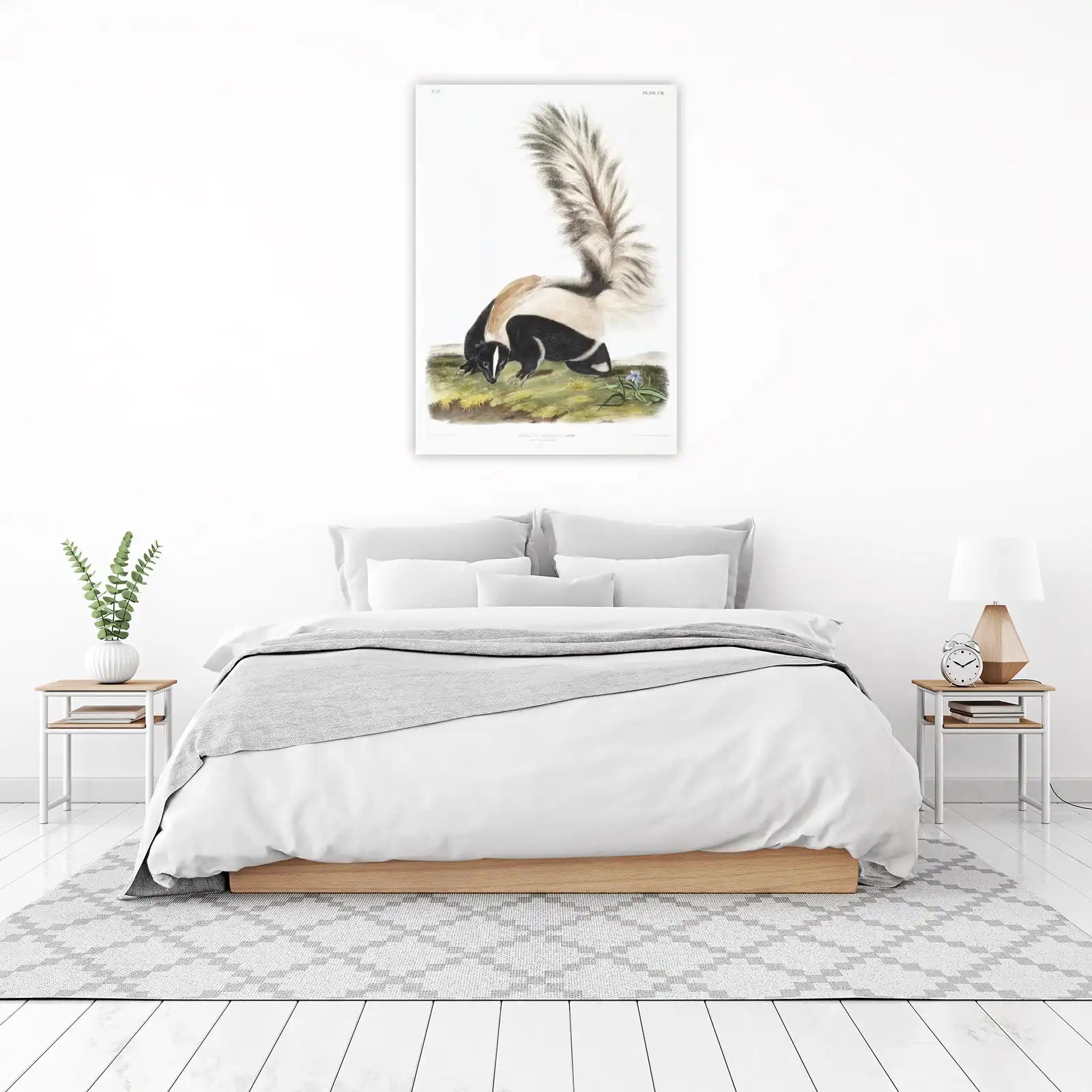Audubon Skunk Large Tailed Skunk Wall Art