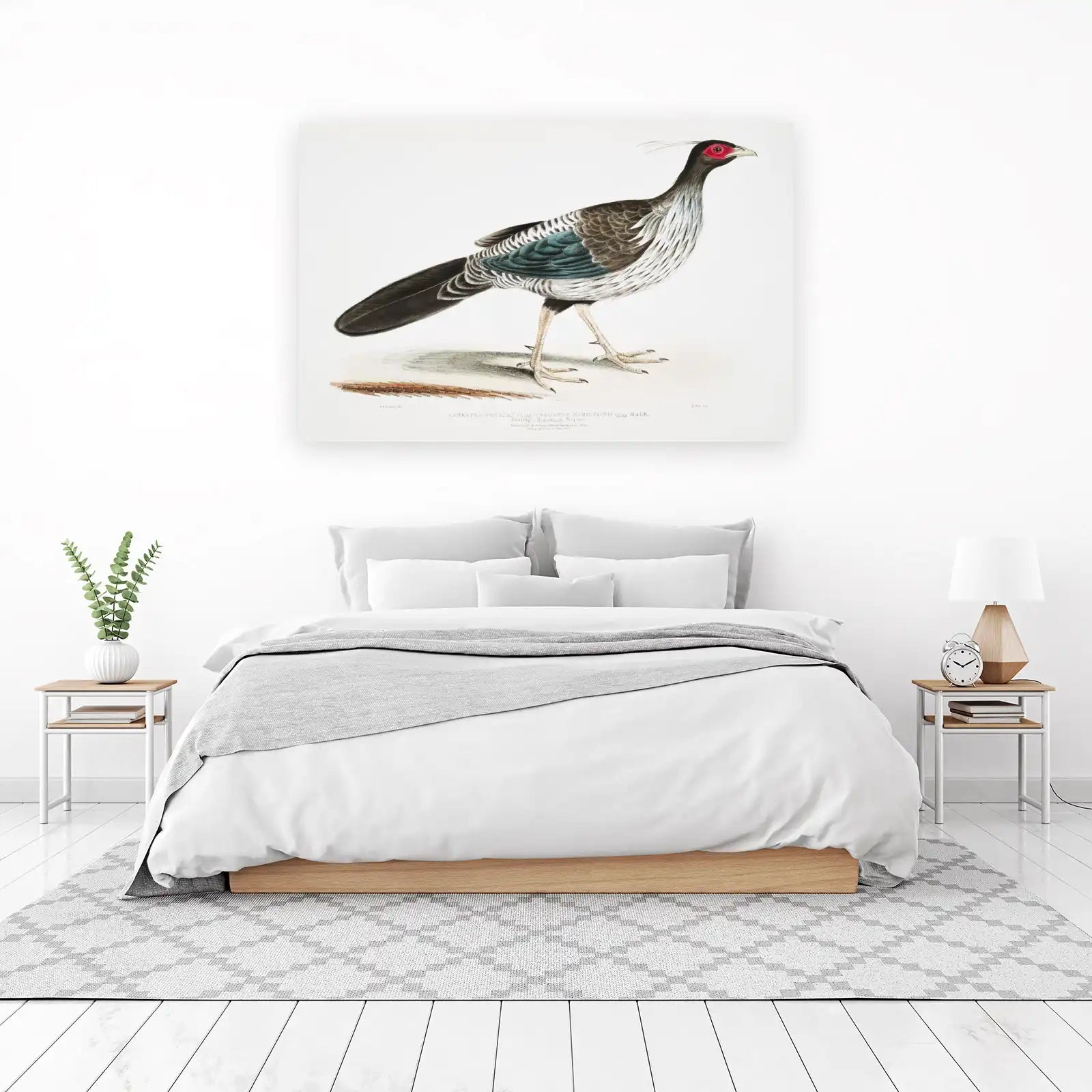 Elegant Lineated Pheasant Vintage Bird Art Wall Art