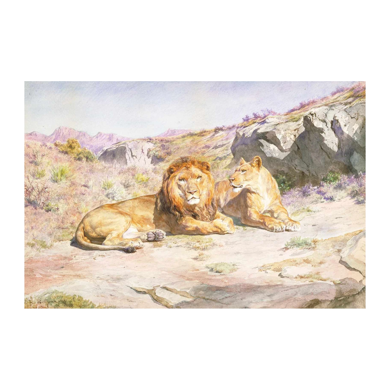 Majestic Lions African Wildlife Wall Art