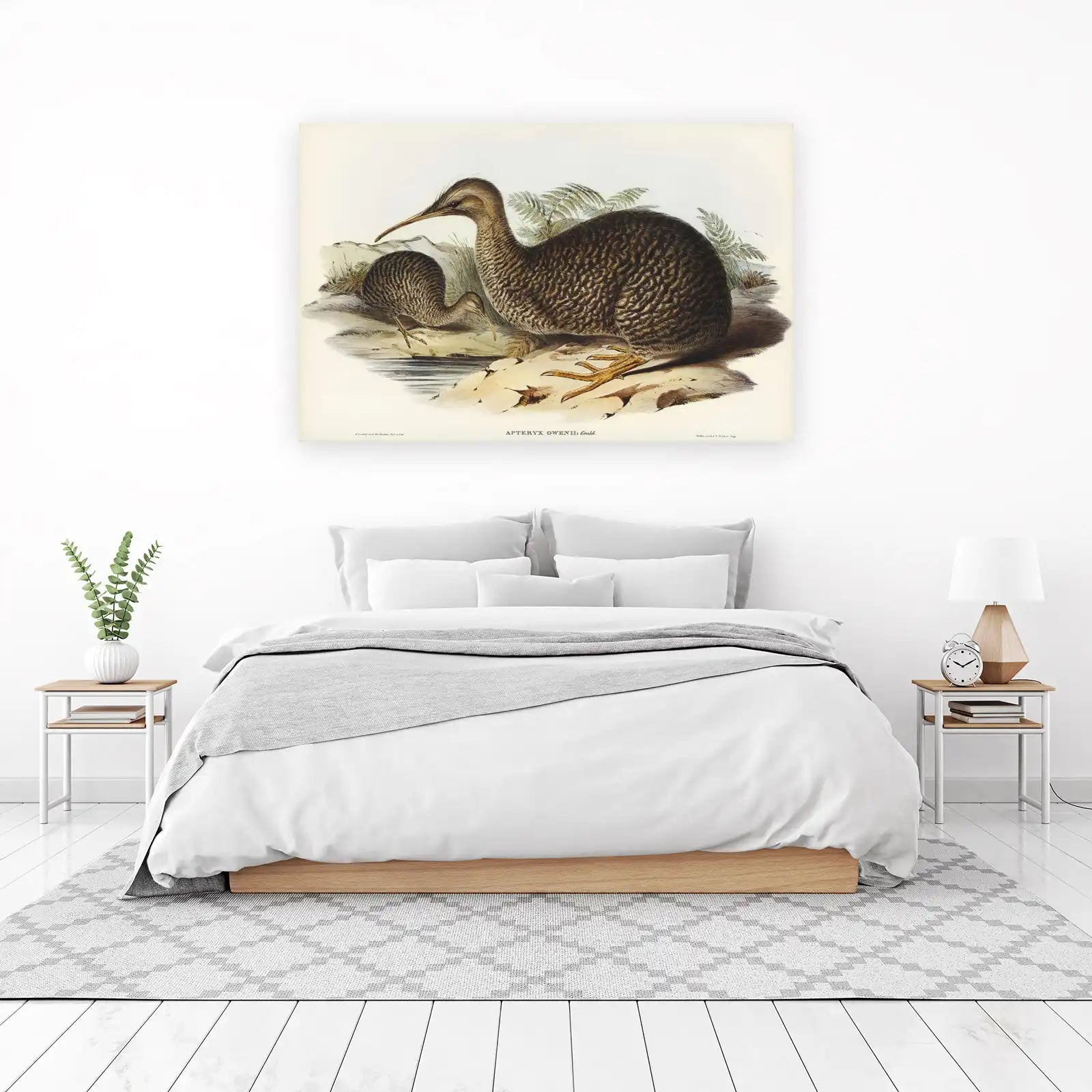 Vintage Kiwi Bird Nature Art Wall Art