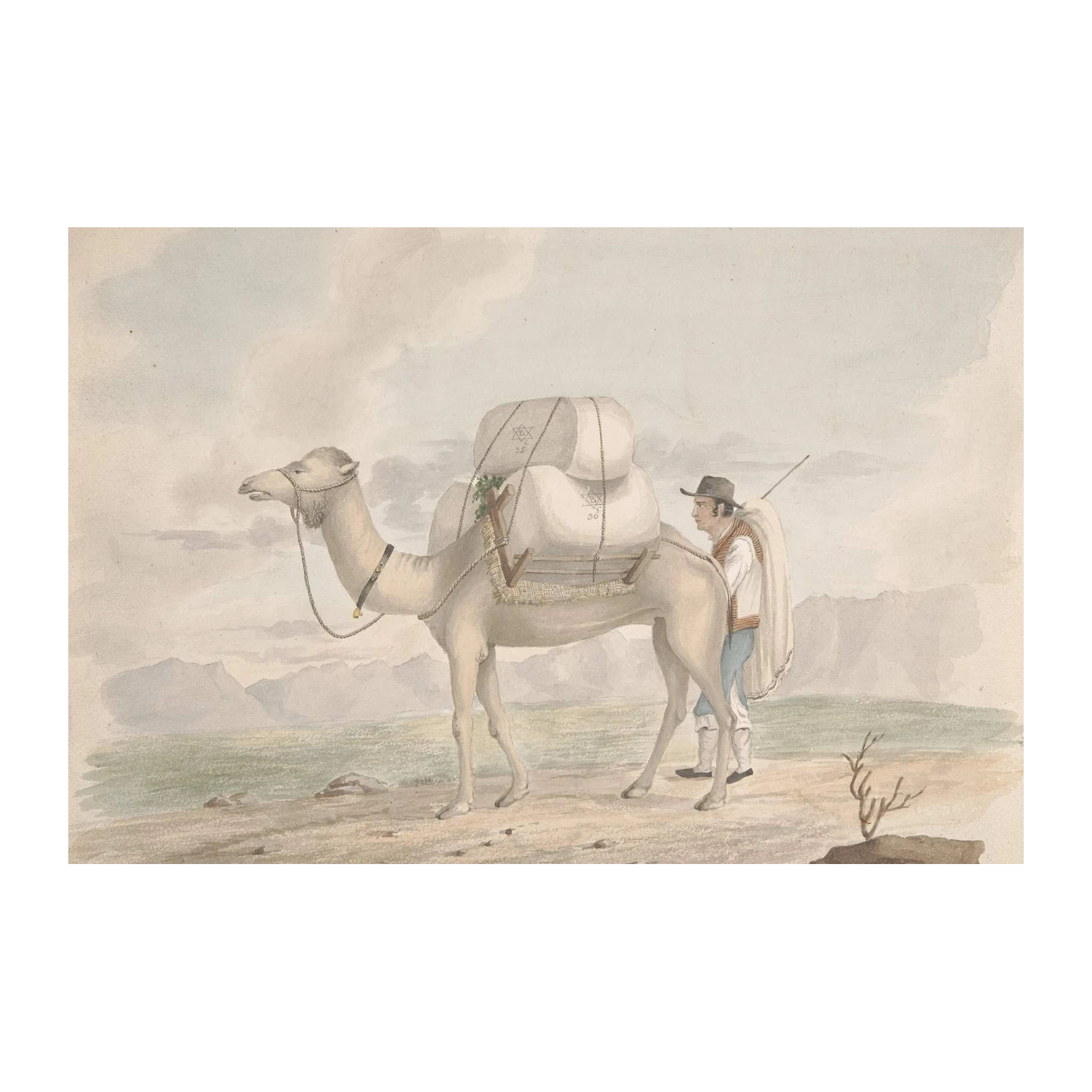 Vintage Camel Caravan Desert Landscape Wall Art