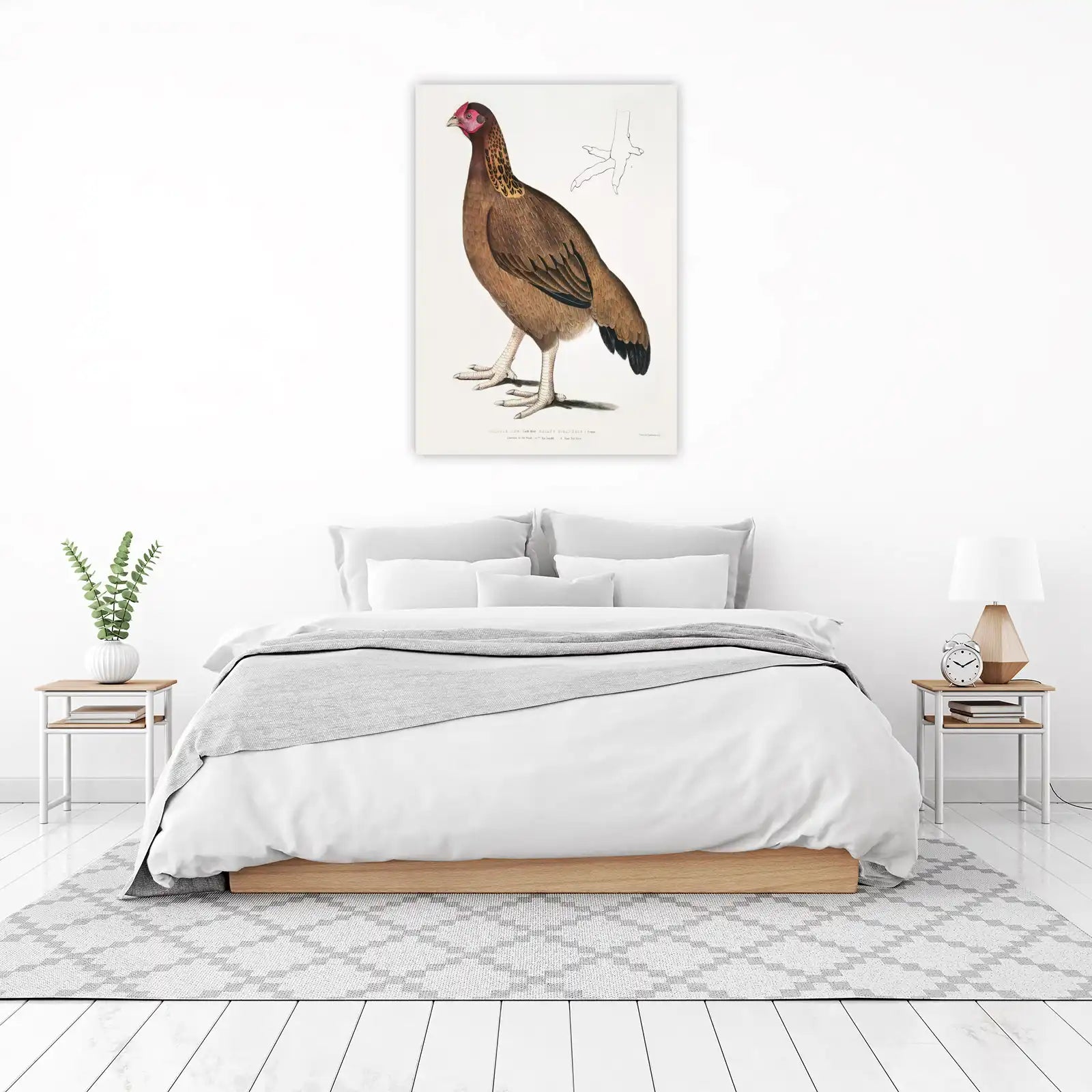 Malabar Hen Vintage Bird Art Wall Art