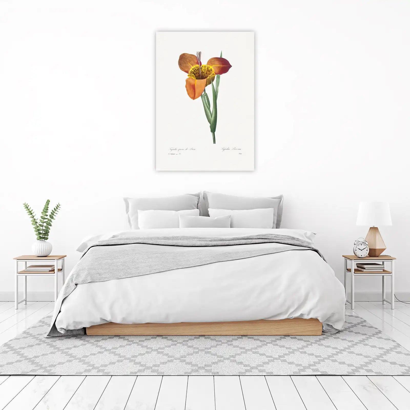 Vintage Tigridia Flower Botanical Wall Art