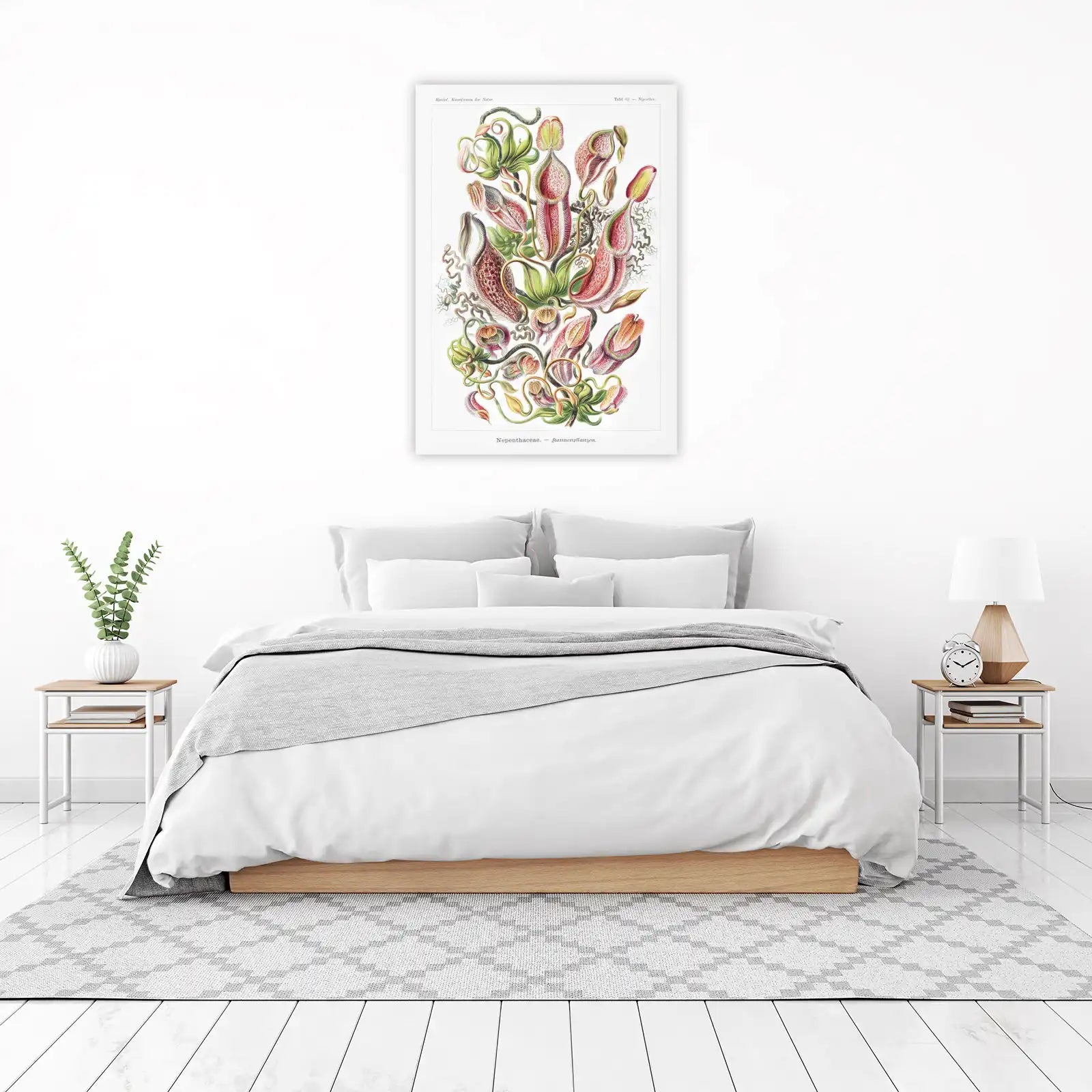 Exotic Pitcher Plant Botanical Vintage Wall Art