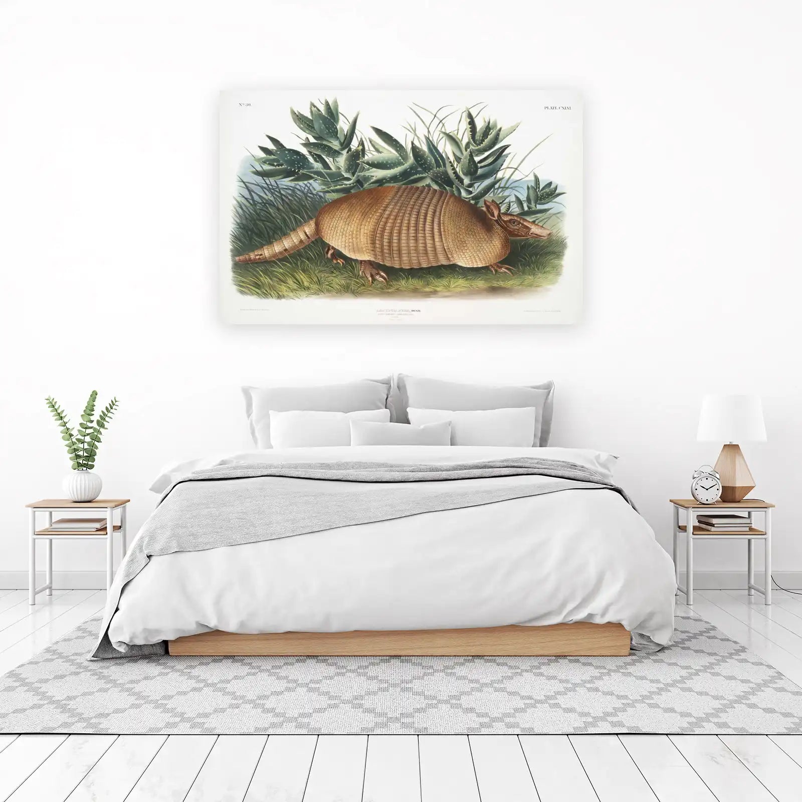 Vintage Armadillo Nature Art Wall Art