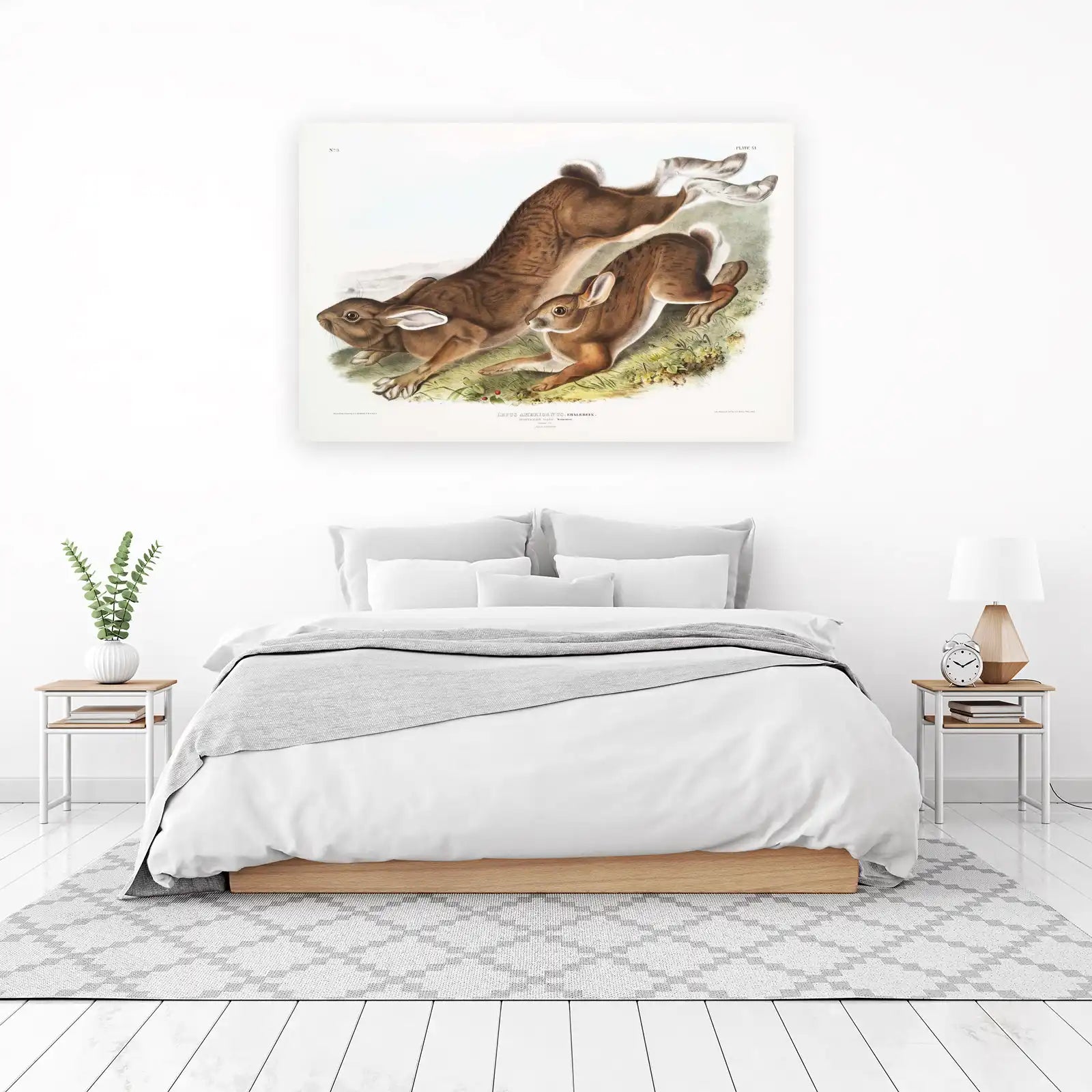 Vintage Northern Hare Wall Art