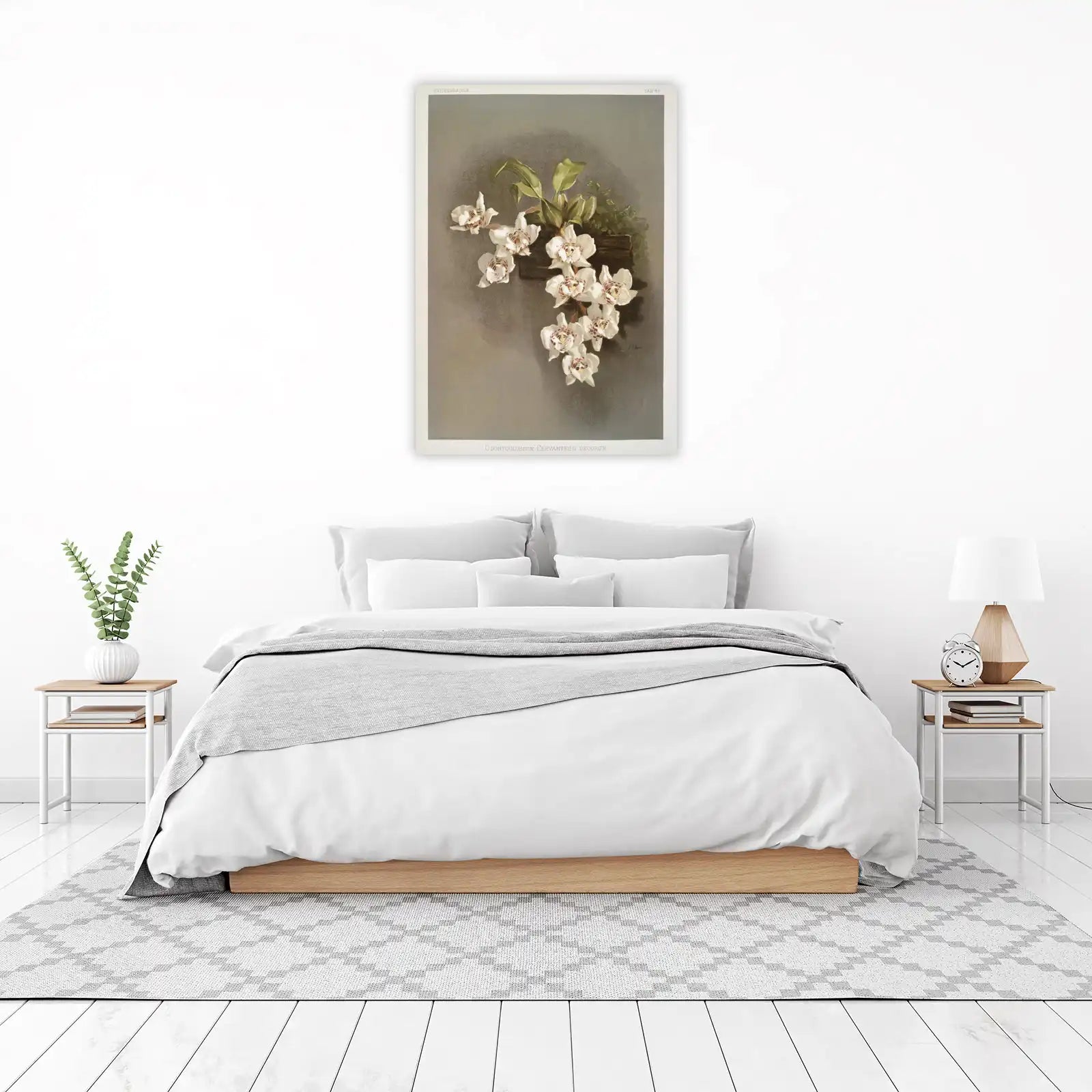 Vintage Orchid Botanical Art Wall Art