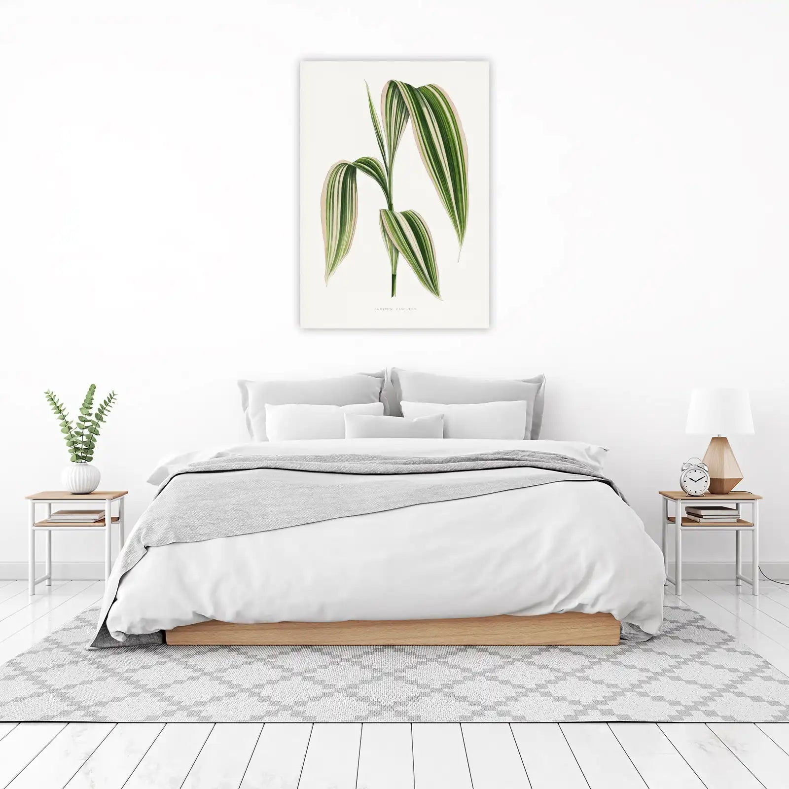 Variegated Panicum Plicatum Botanical Art Wall Art