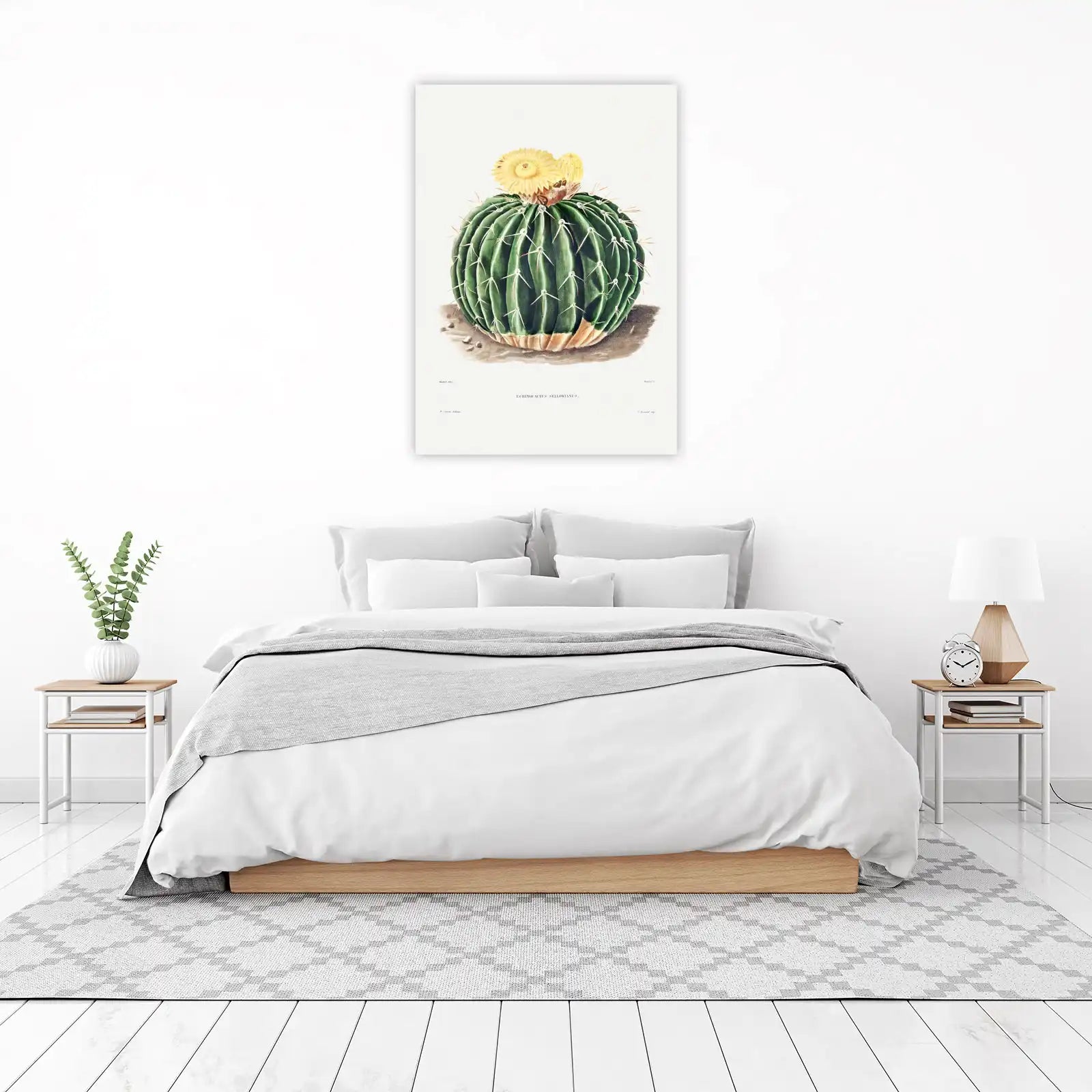 Vintage Echinocactus Sellowianus Wall Art