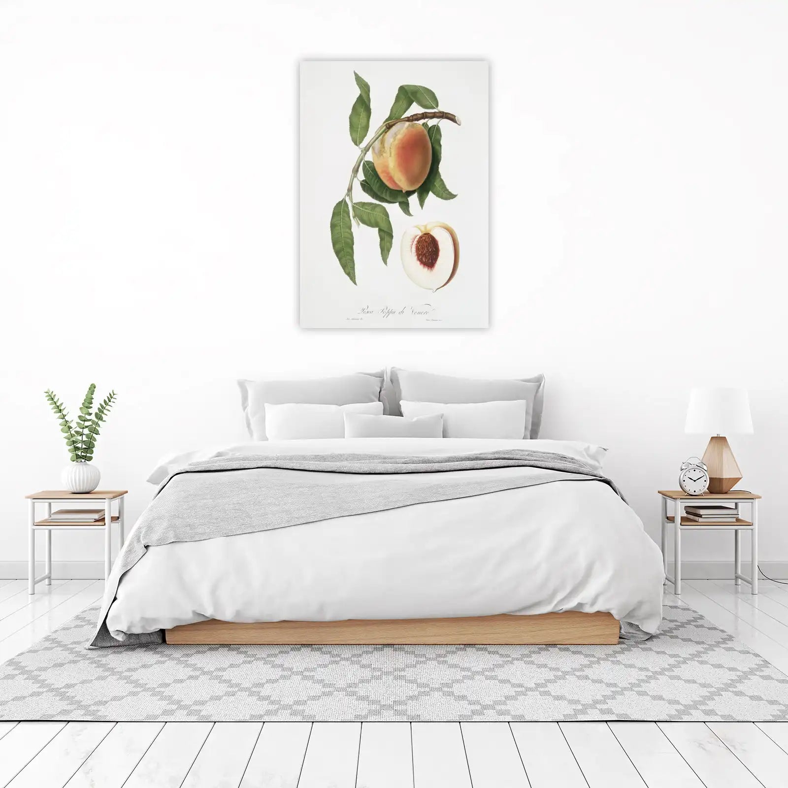 Botanical Peach & Leaf Wall Art