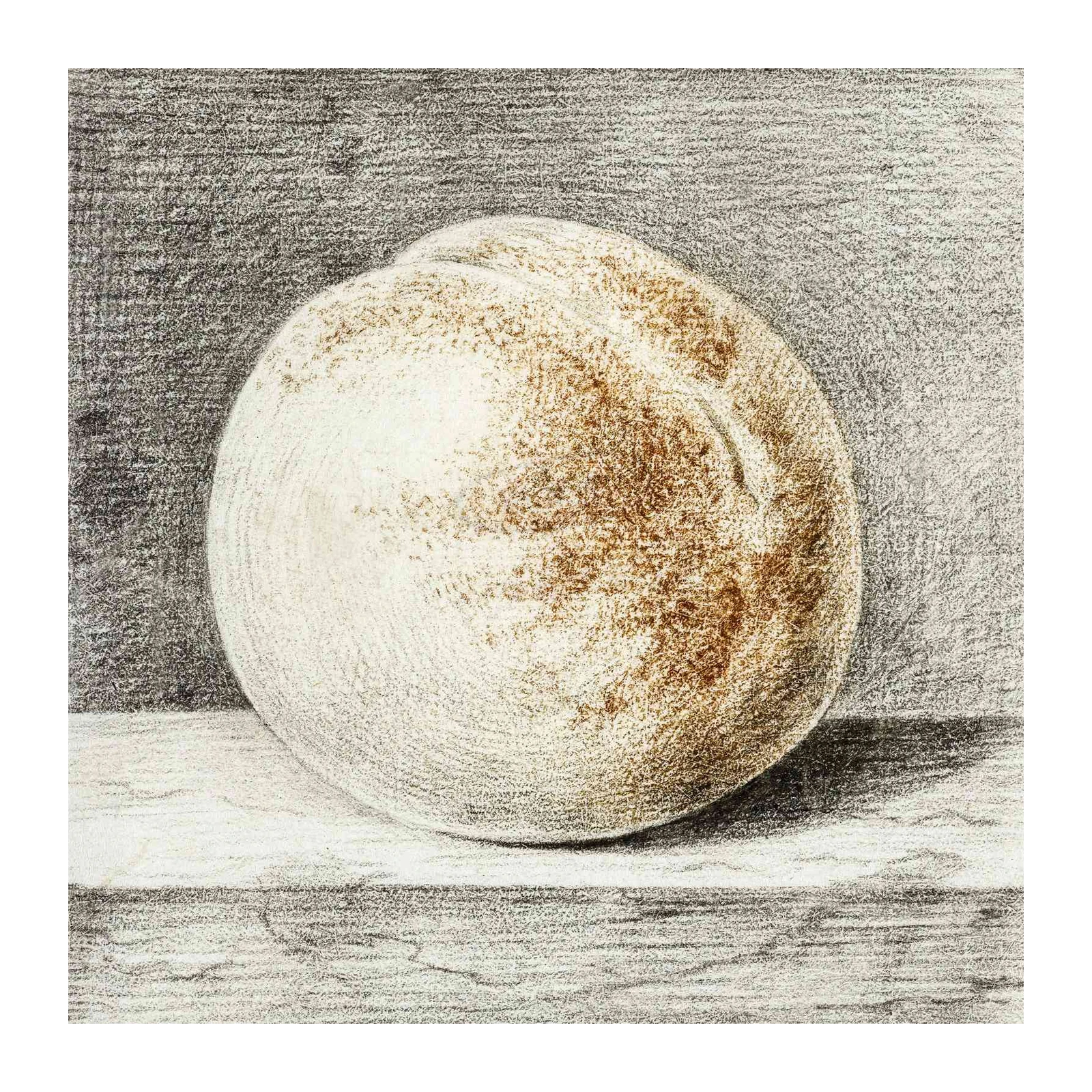 Elegant Peach Still Life Drawing Wall Art