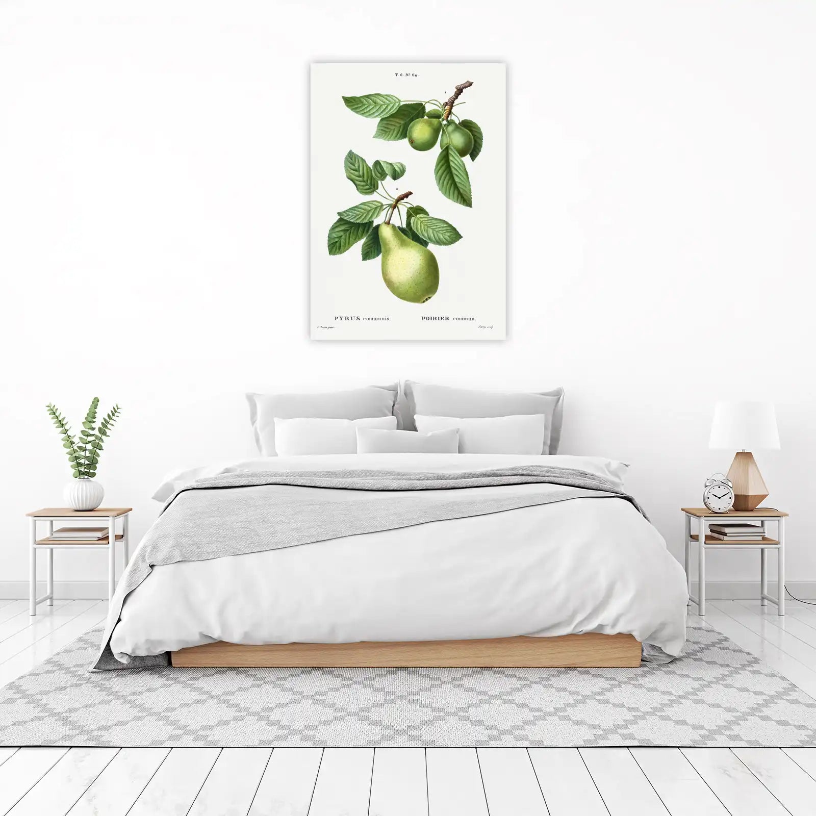Vintage Pear Botanical Art Wall Art