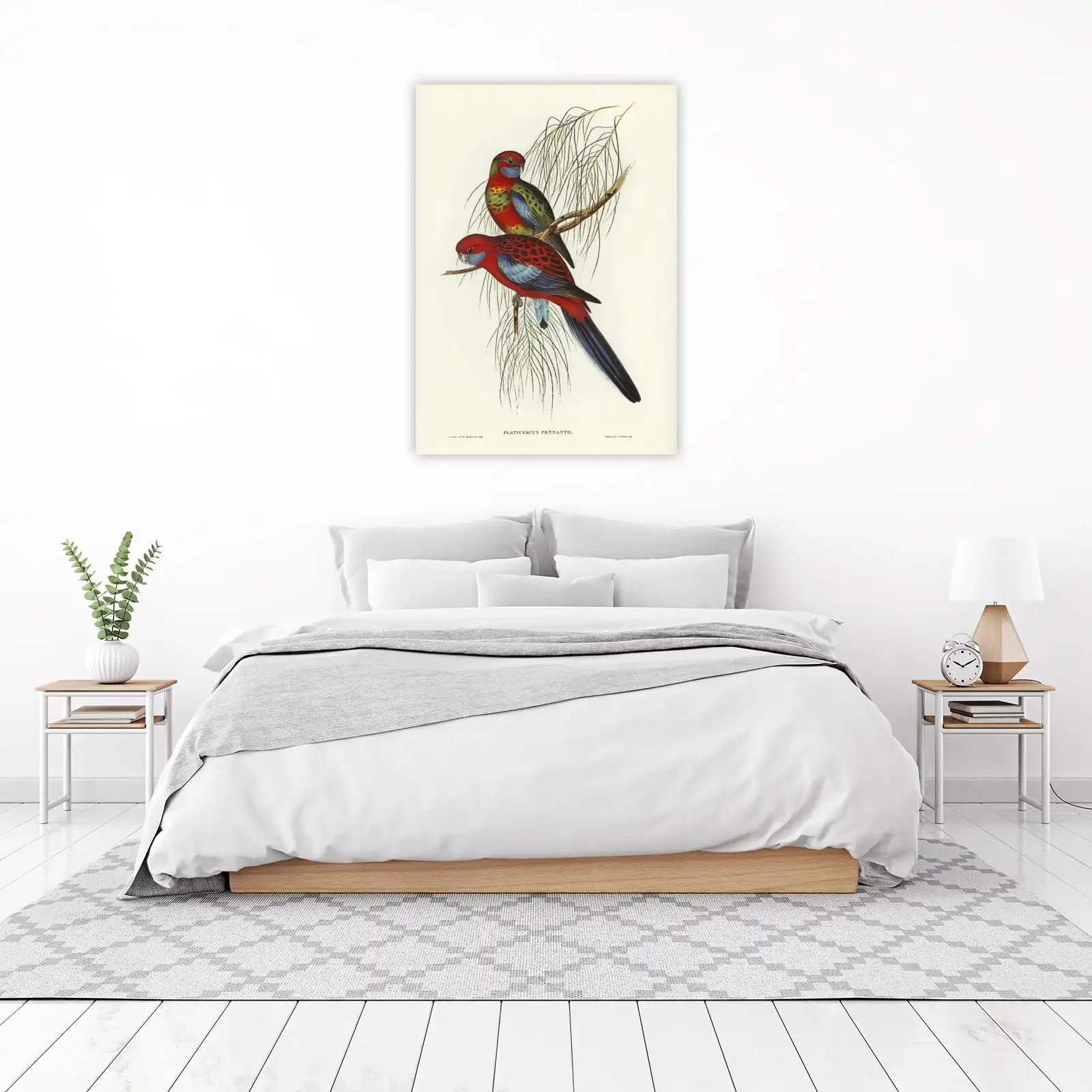 Crimson Rosella Birds Nature Wall Art