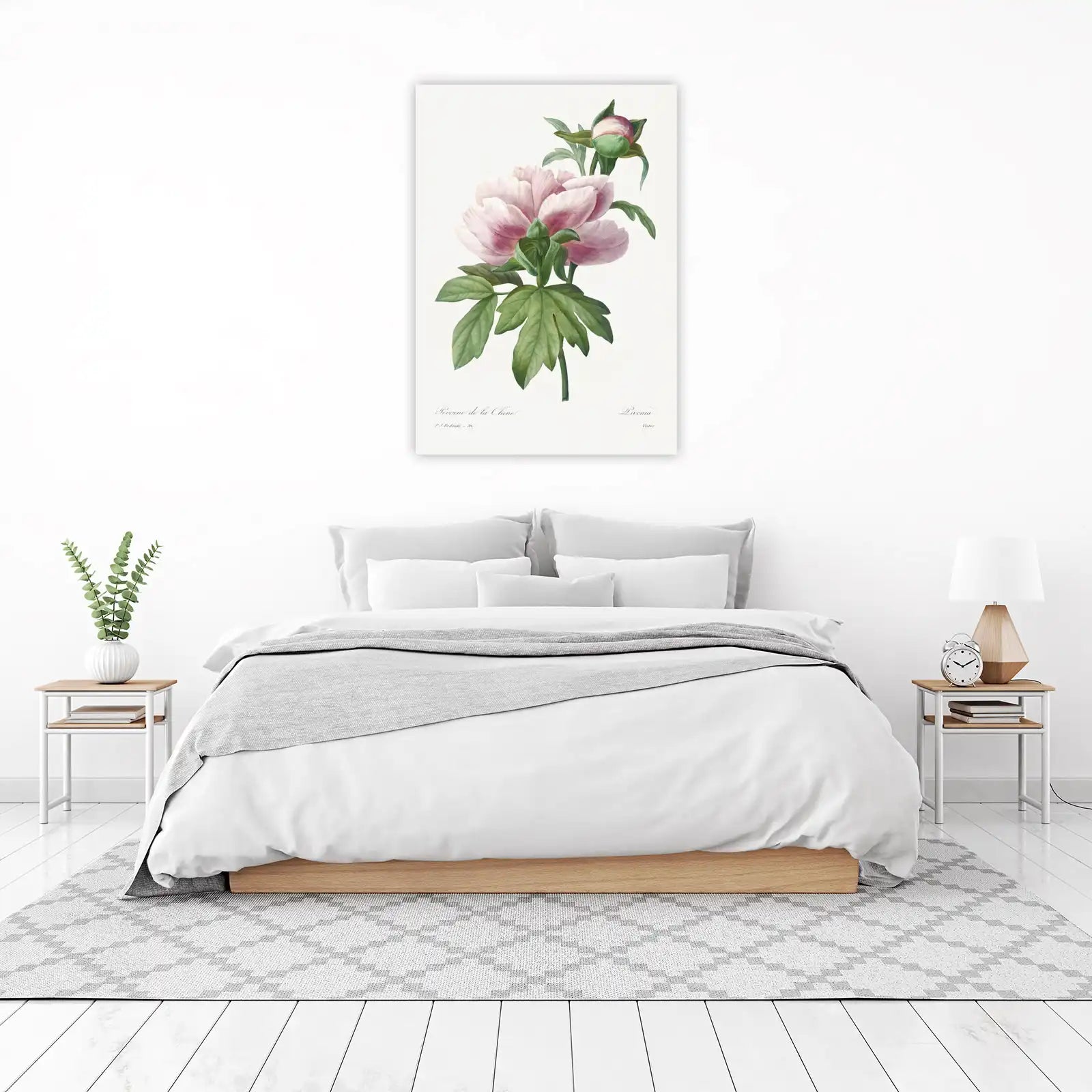 Vintage Pink Peony Botanical Art Wall Art