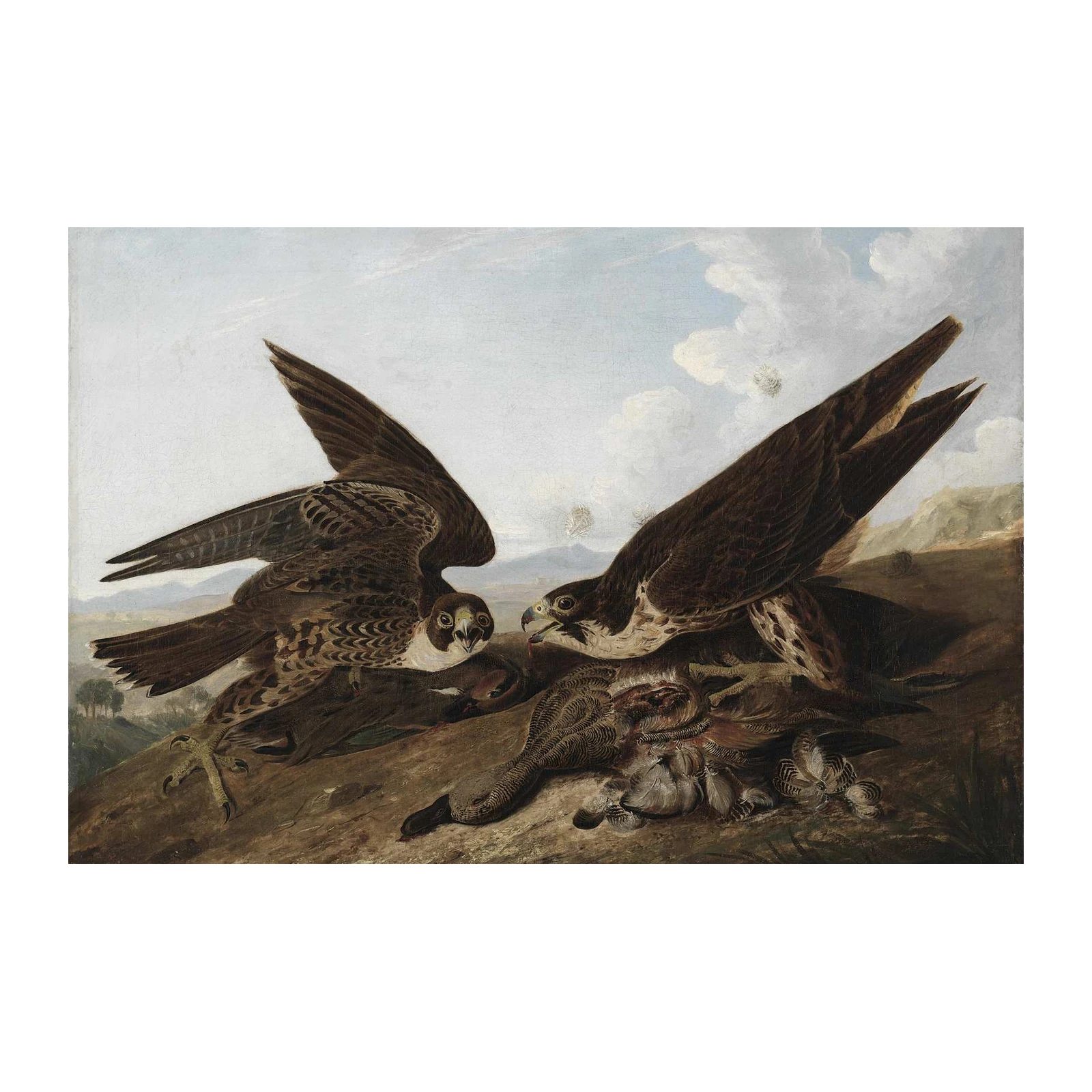 Majestic Falcons Hunting Scene Wall Art