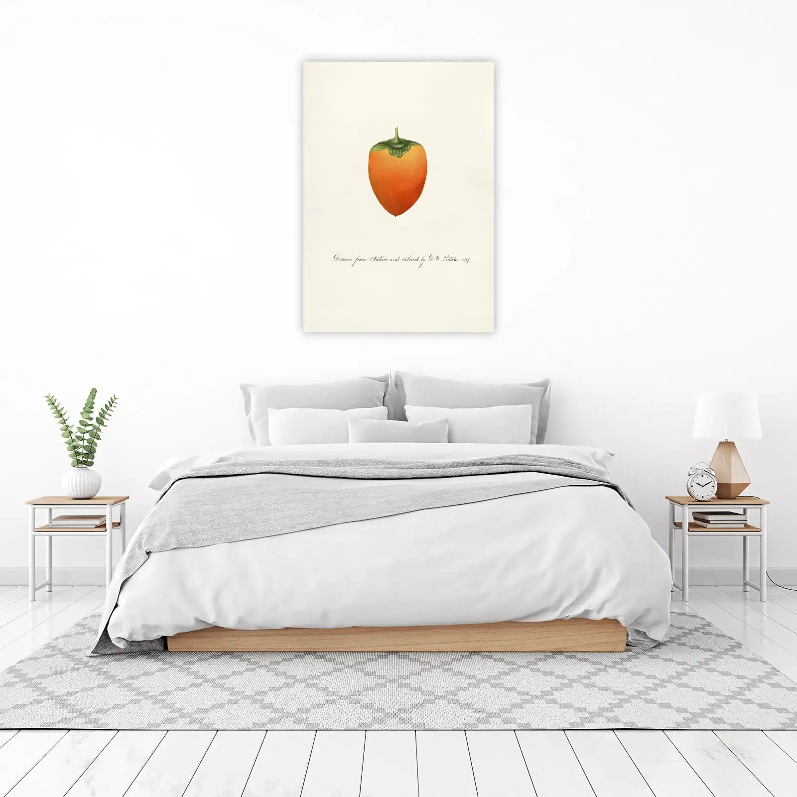 Vibrant Persimmon Botanical Vintage Wall Art