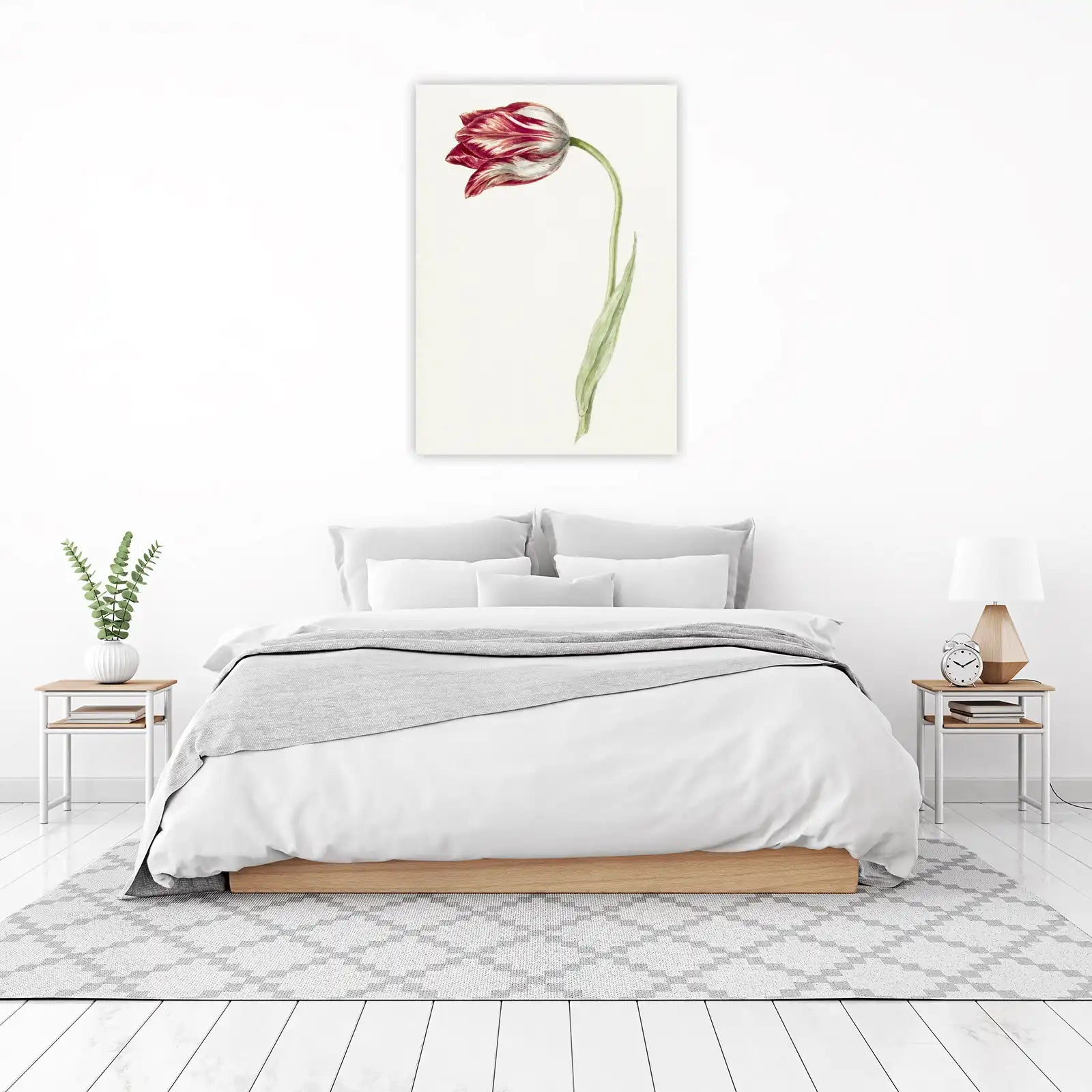 Vintage Red Striped Tulip Botanical Wall Art