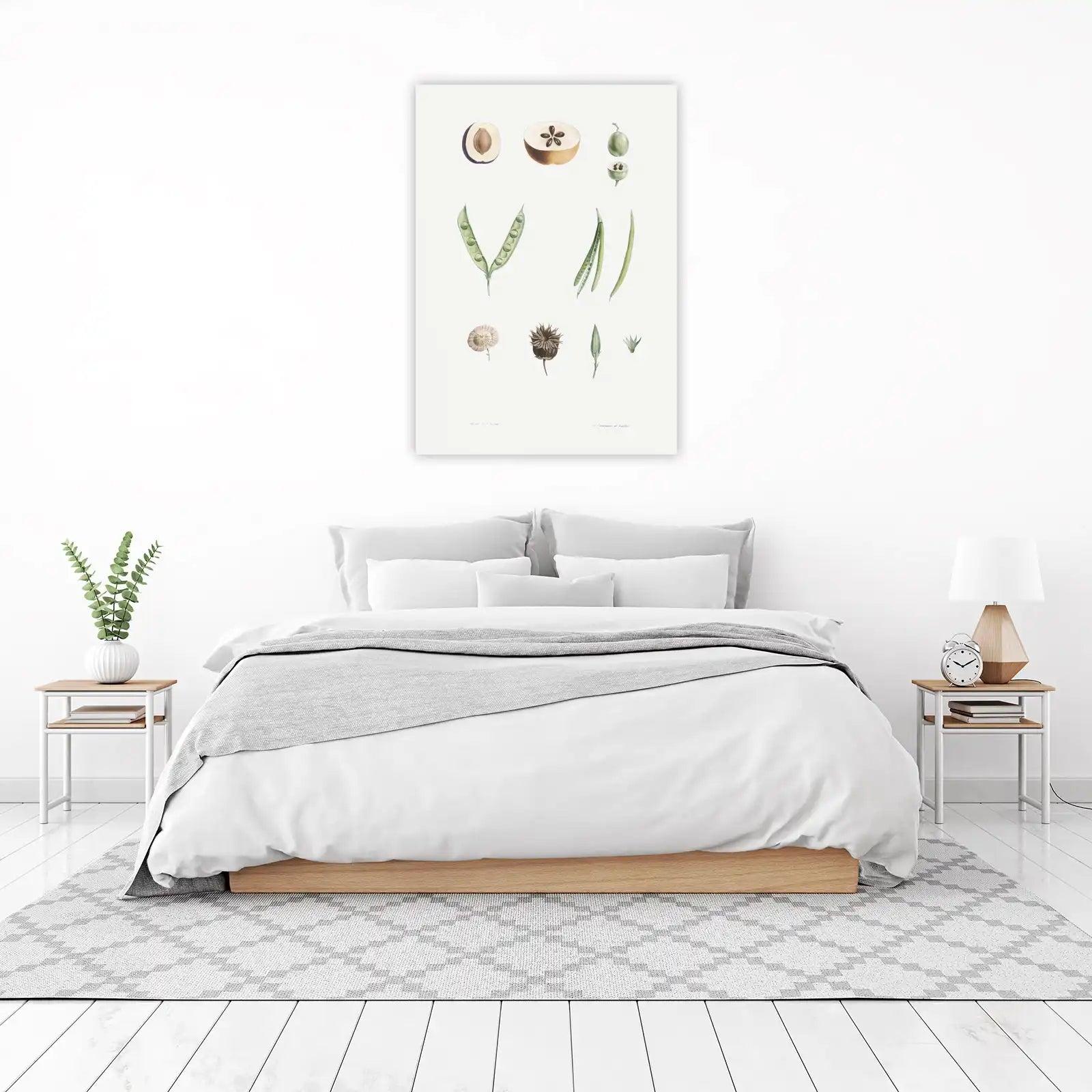 Vintage Botanical Fruit & Seed Wall Art