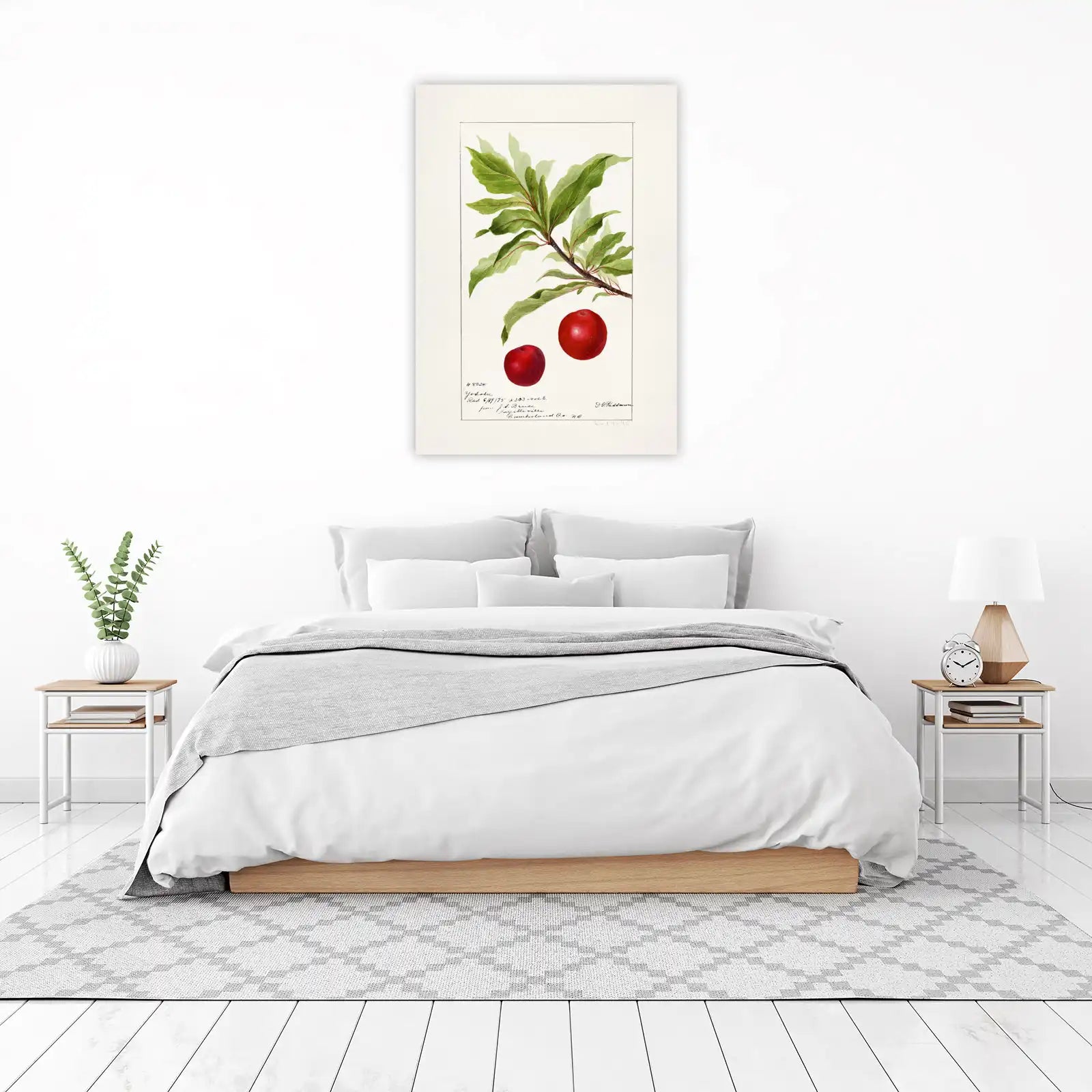 Botanical Red Plum Branch Wall Art