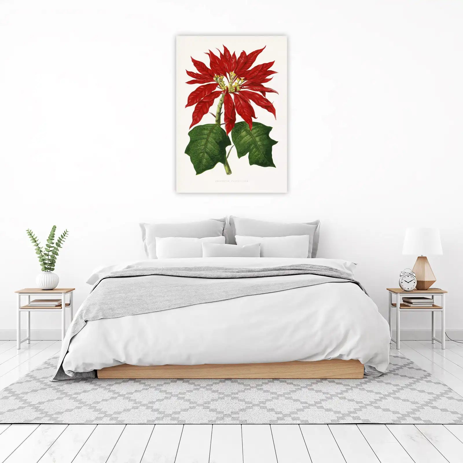 Vibrant Red Poinsettia Botanical Wall Art