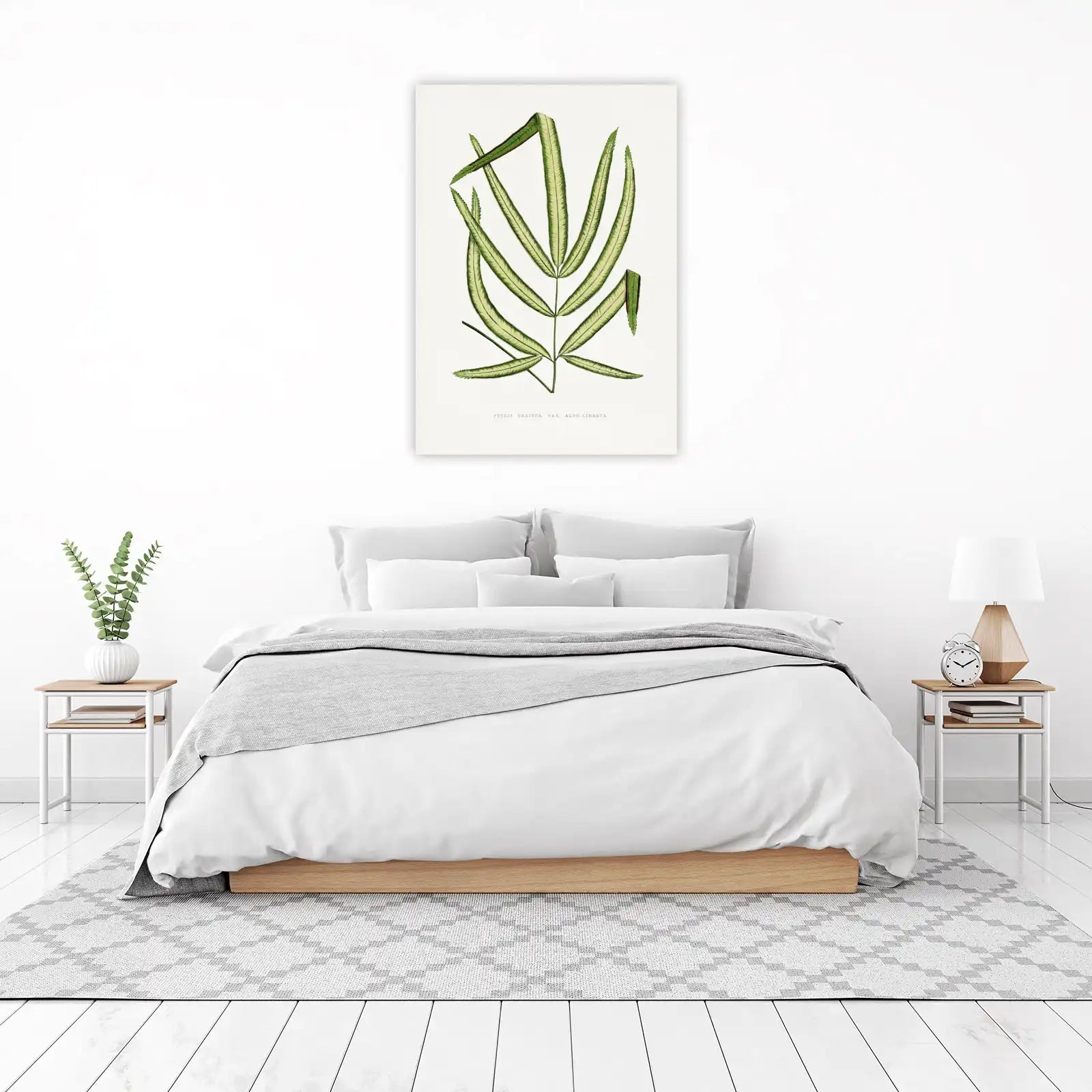 Pteris Cretica Albo Lineata Fern Botanical Wall Art
