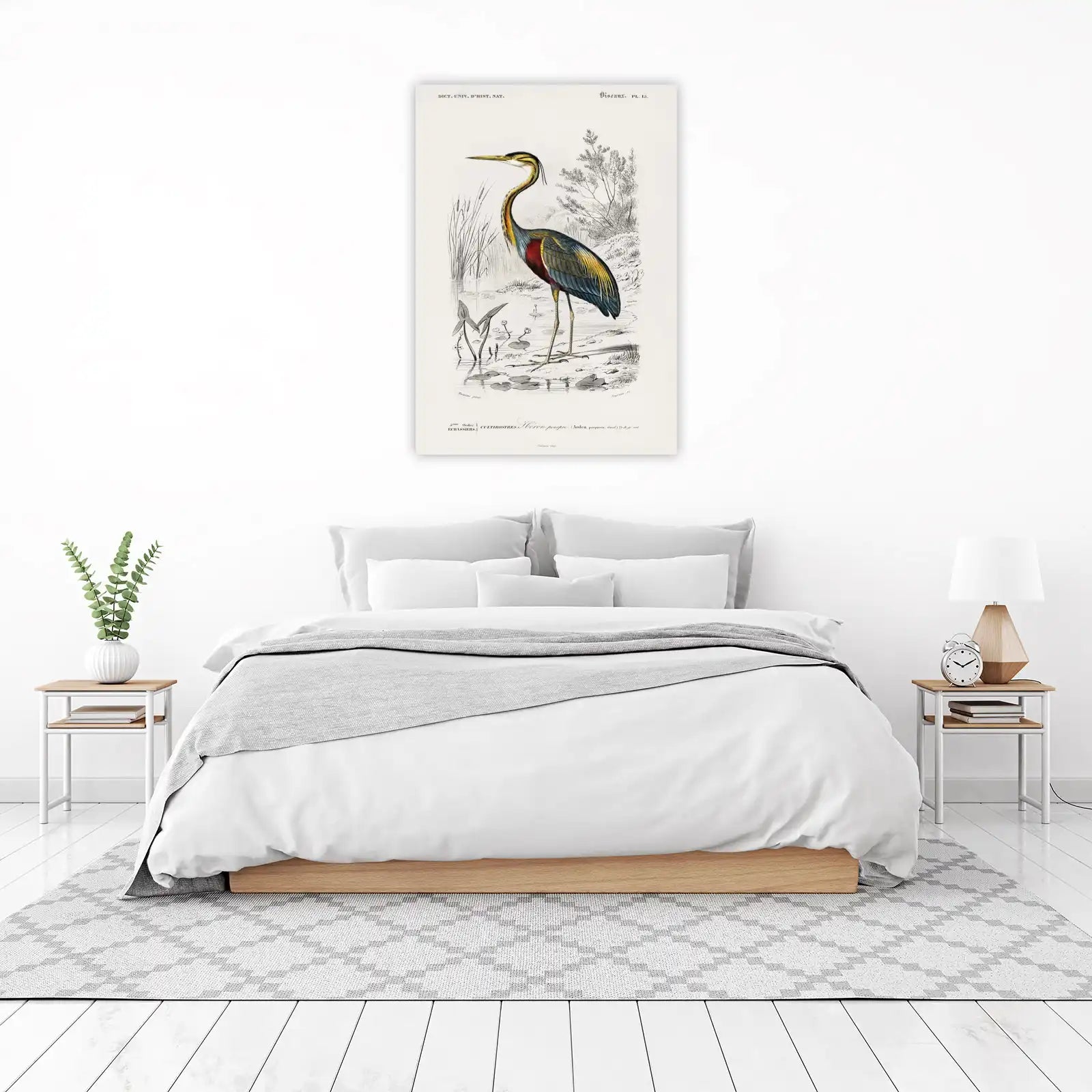 Purple Heron Vintage Bird Art Wall Art