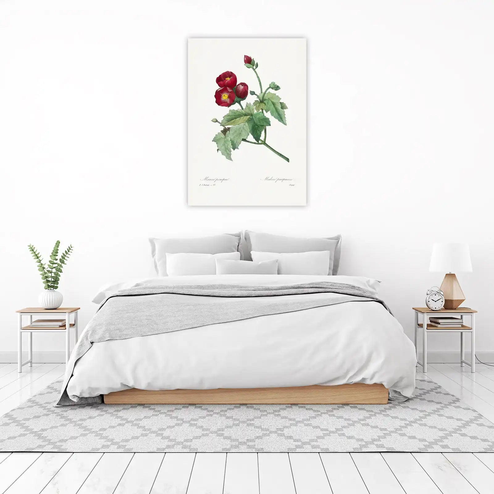 Red Malva Botanical Art Wall Art