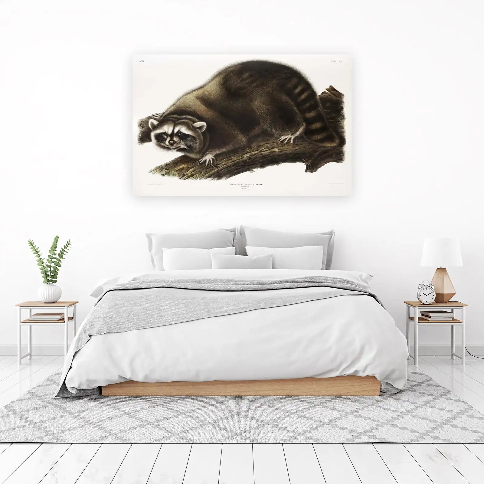 Vintage Raccoon Wildlife Art Wall Art