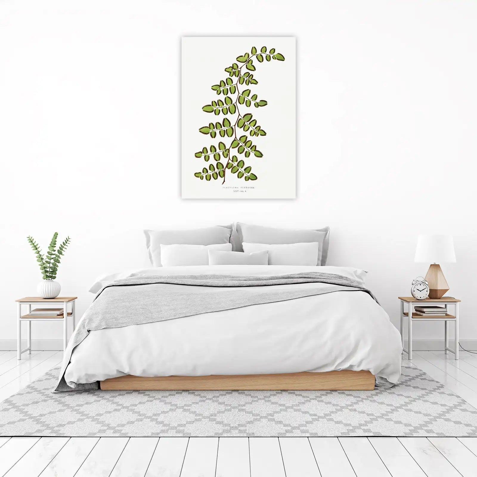 Platyloma Flexuosa Botanical Wall Art