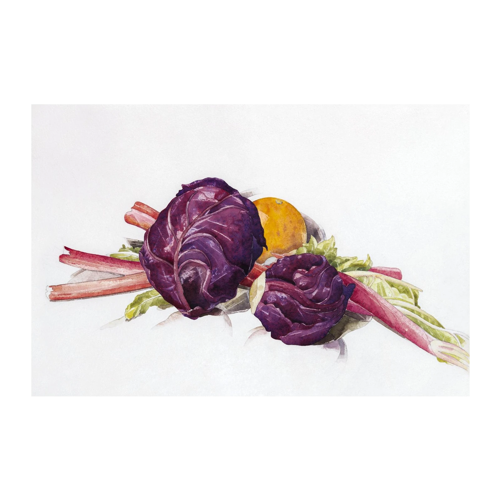 Vibrant Radish & Rhubarb Still Life Wall Art