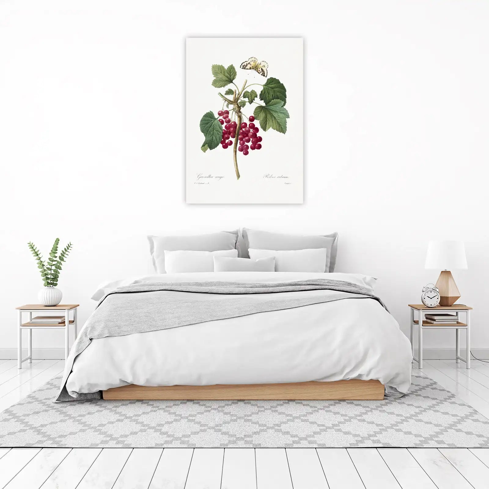 Vintage Red Currant & Butterfly Botanical Wall Art