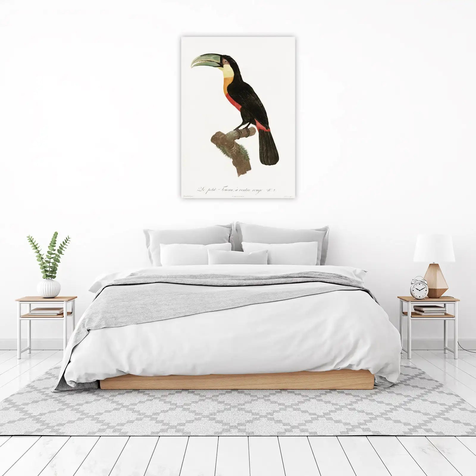 Vintage Toucan Art - Tropical Bird Wall Art