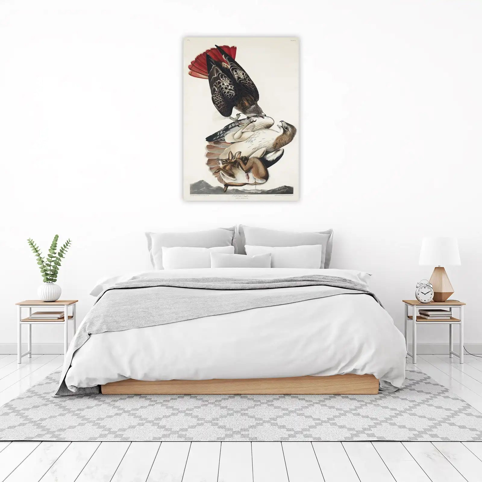 Red-Tailed Hawk and Rabbit Wildlife Wall Art