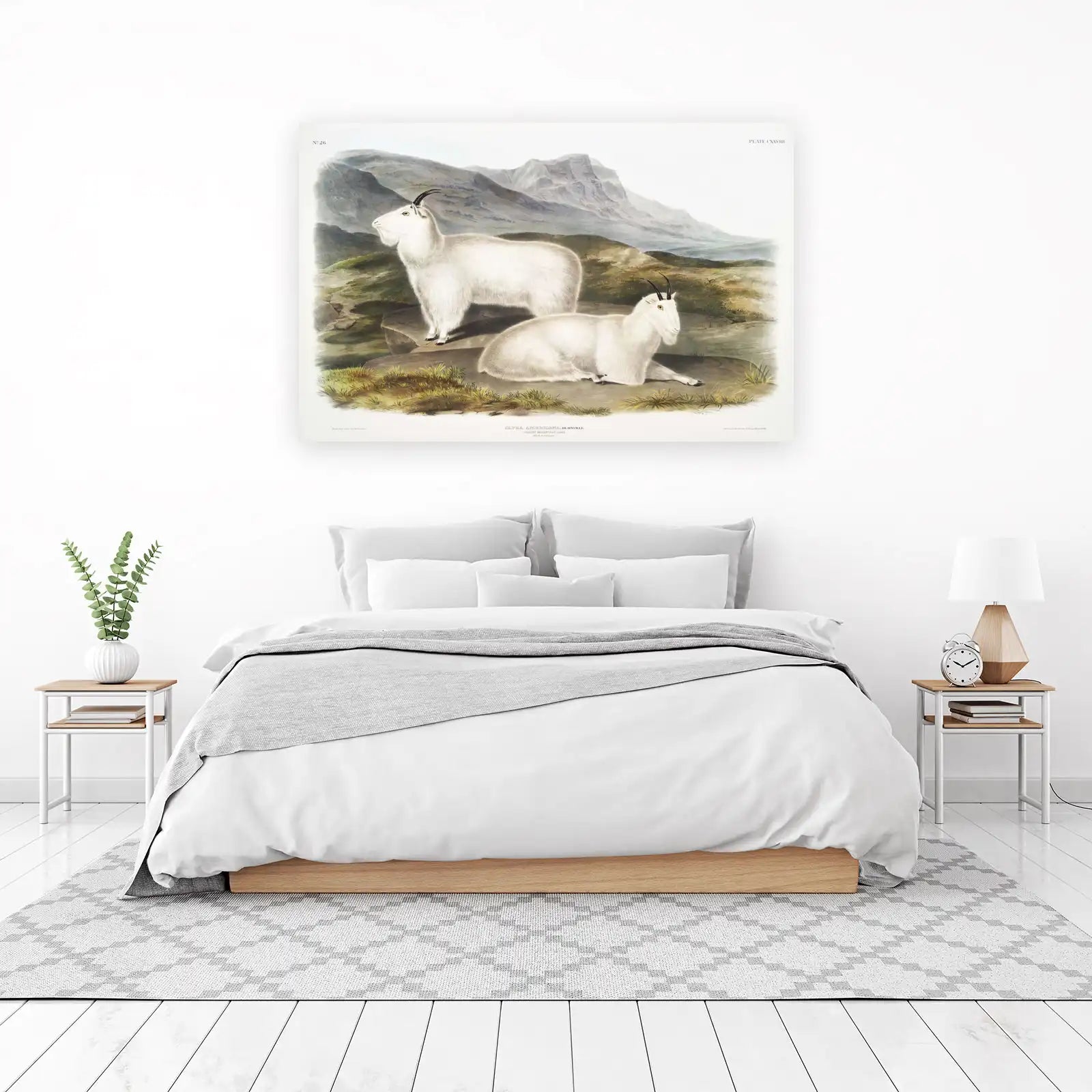 Vintage Rocky Mountain Goat Wall Art