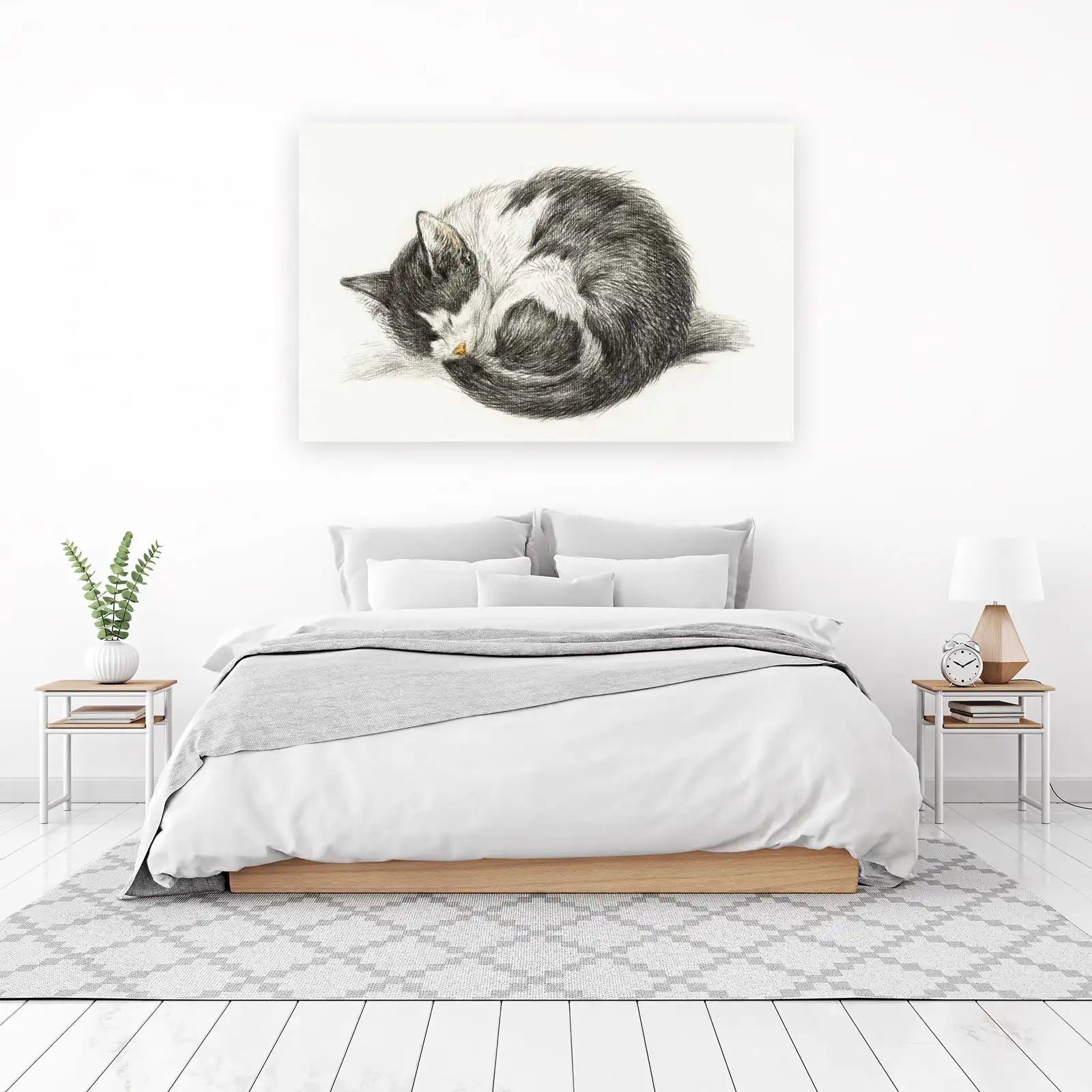 Sleeping Cat Charcoal Art Wall Art