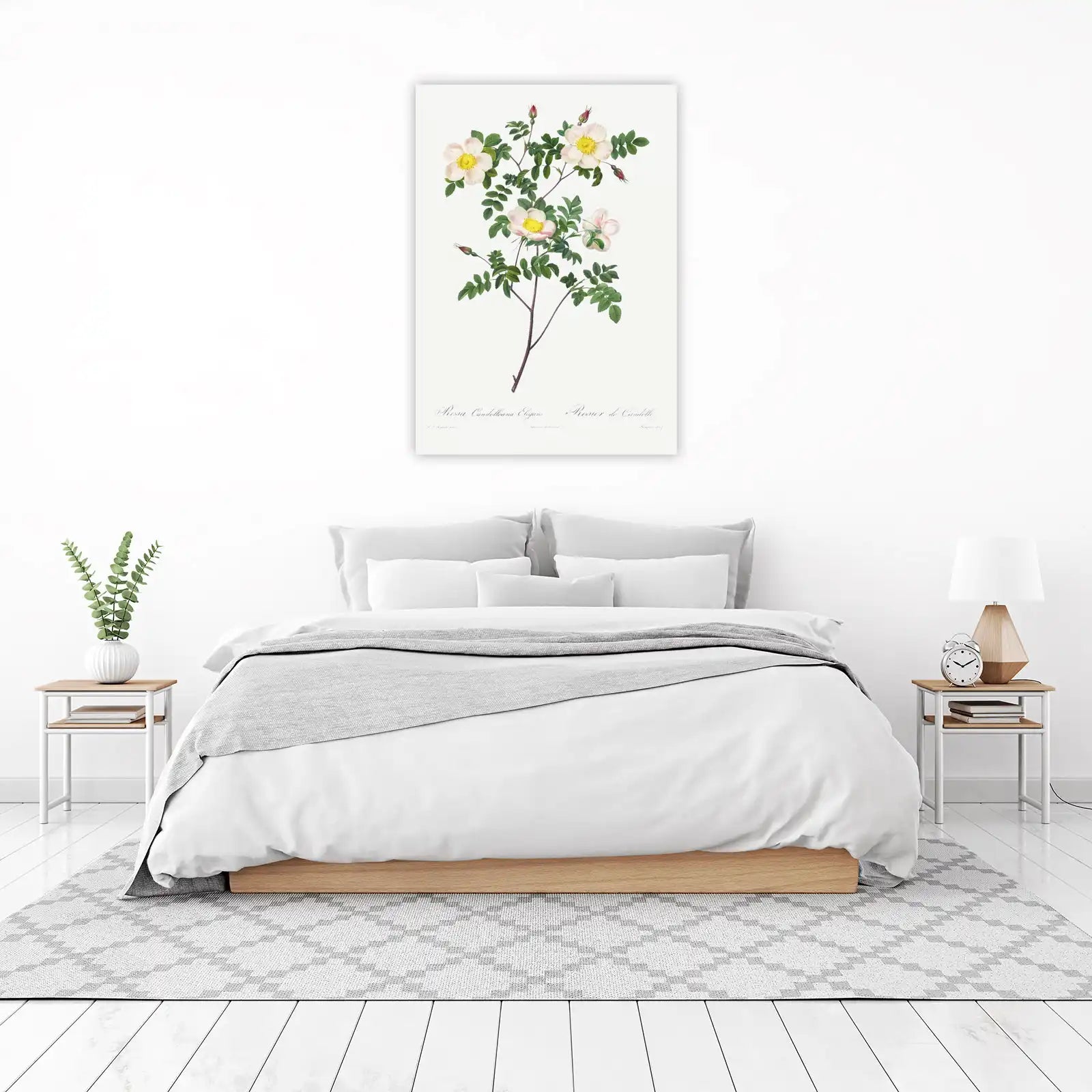 Elegant Pink Rose Botanical Wall Art Wall Art