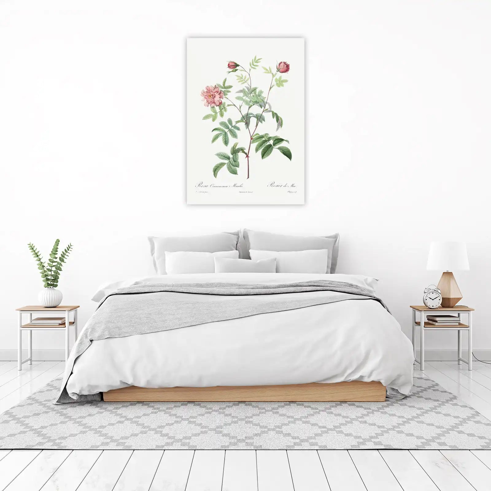 Vintage Pink Rose Botanical Art Wall Art