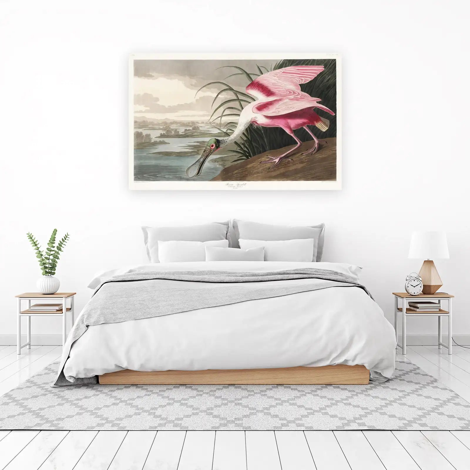 Pink Spoonbill Bird Nature Vintage Wall Art