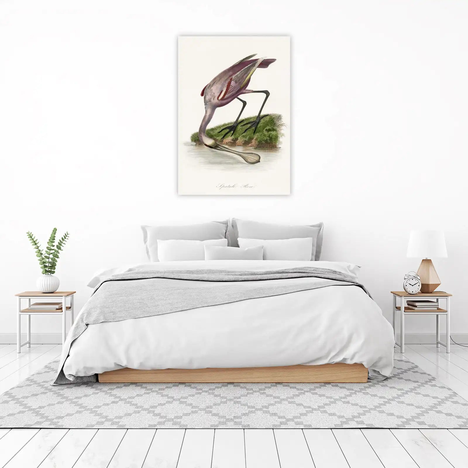 Roseate Spoonbill Vintage Bird Art Wall Art